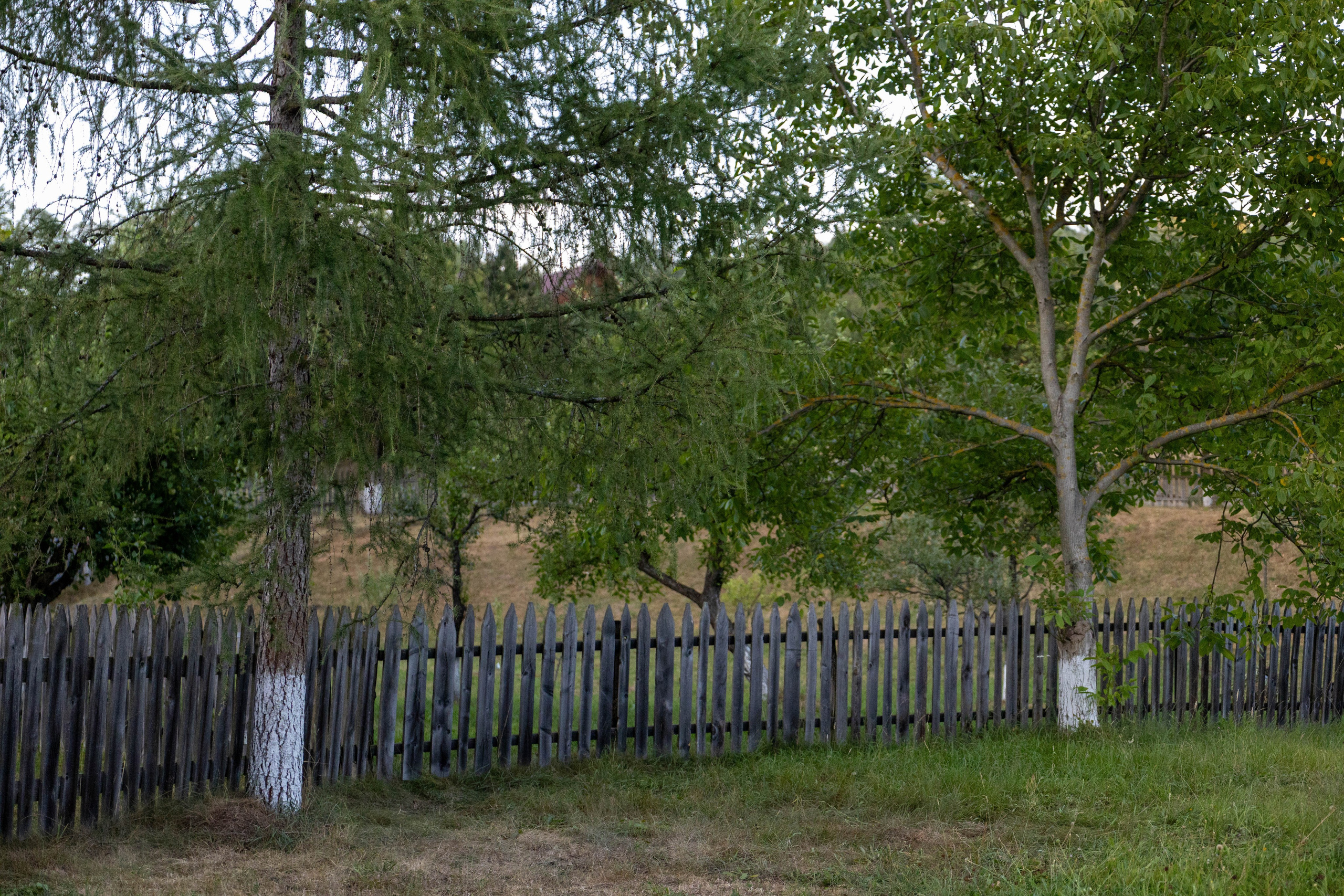 DORURELE la Filmări RO. Alika Dia- Fotograf în Republica Moldova, Strășeni