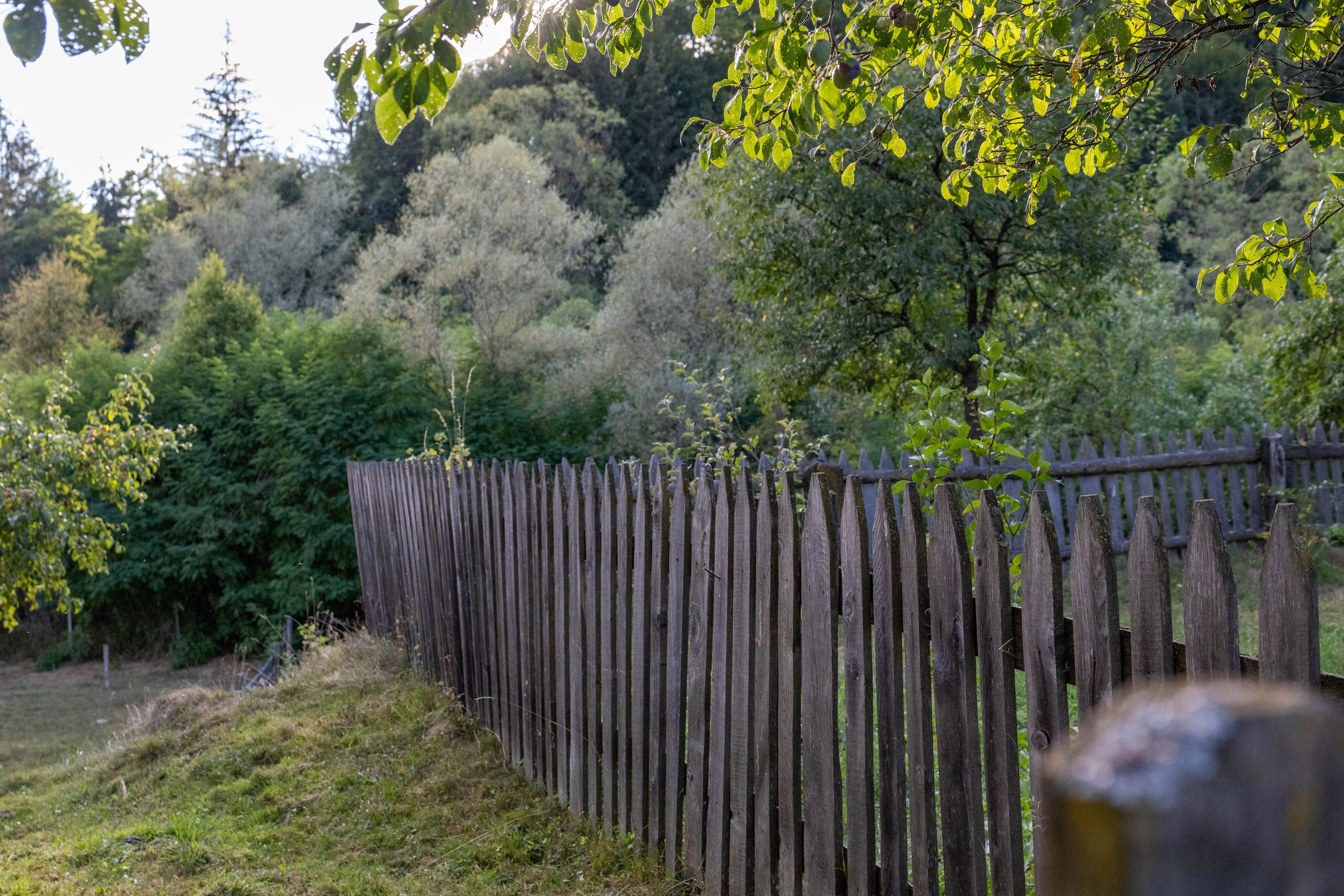DORURELE la Filmări RO. Alika Dia- Fotograf în Republica Moldova, Strășeni