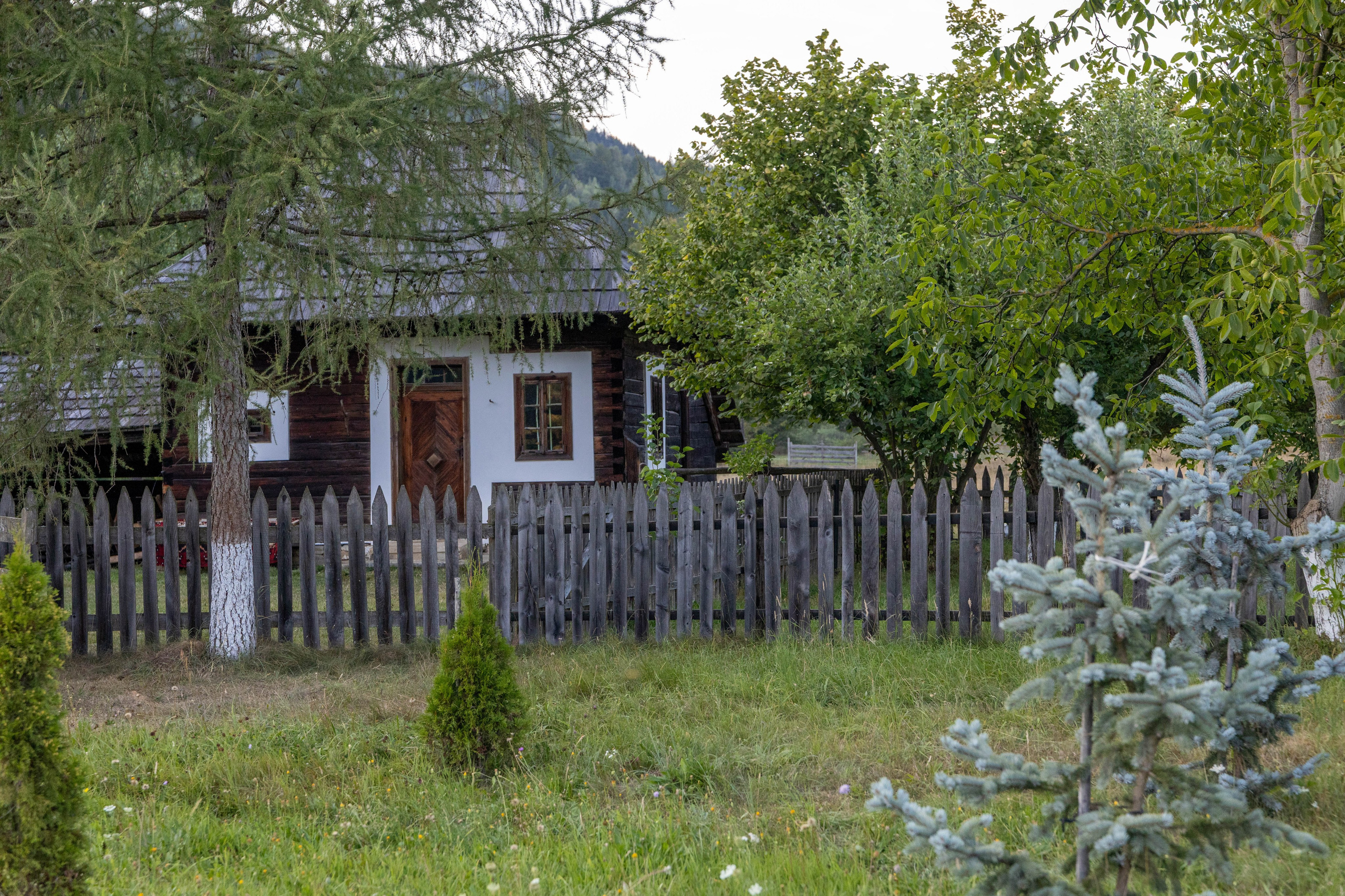 DORURELE la Filmări RO. Alika Dia- Fotograf în Republica Moldova, Strășeni