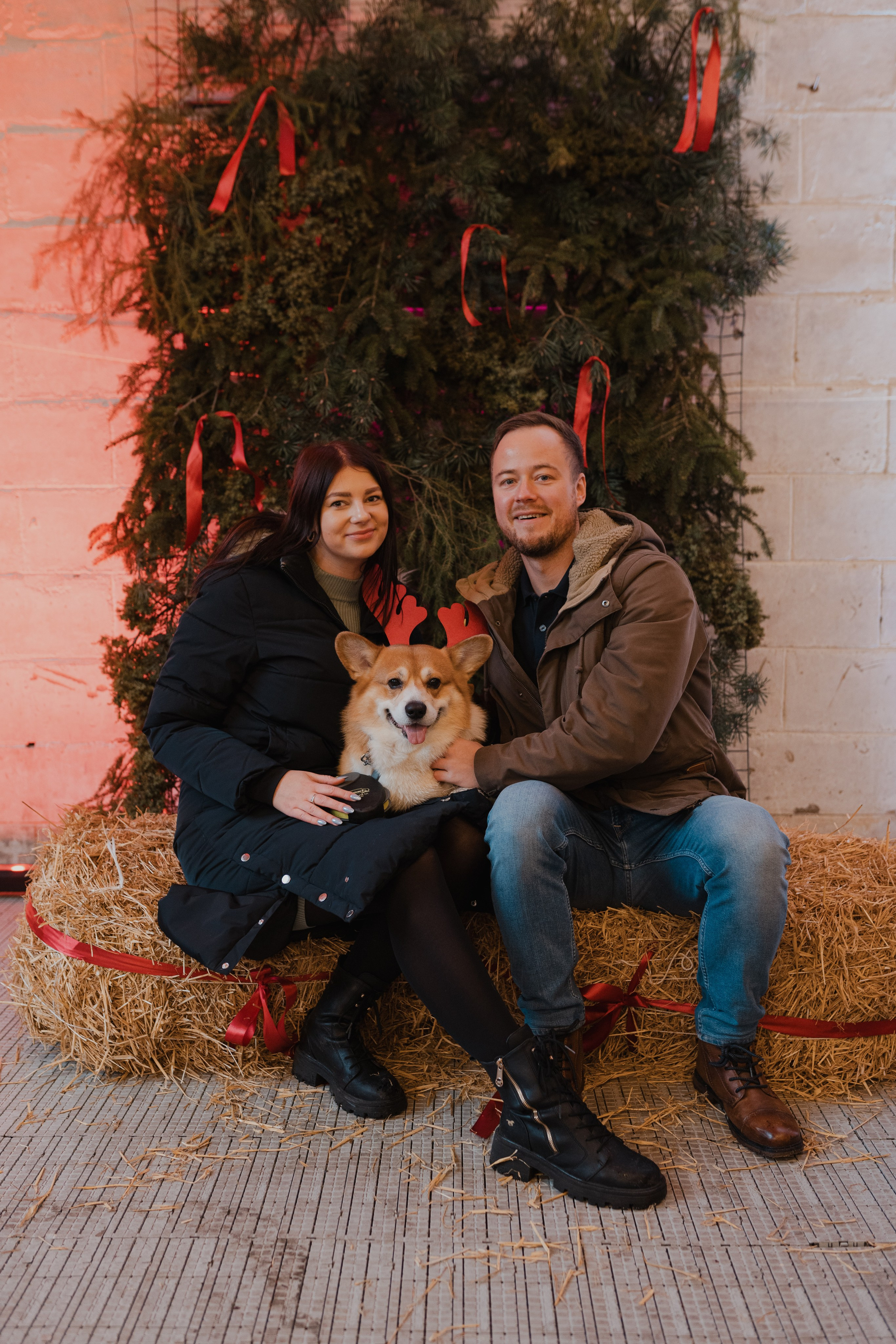 Corgi fest. Event Photography