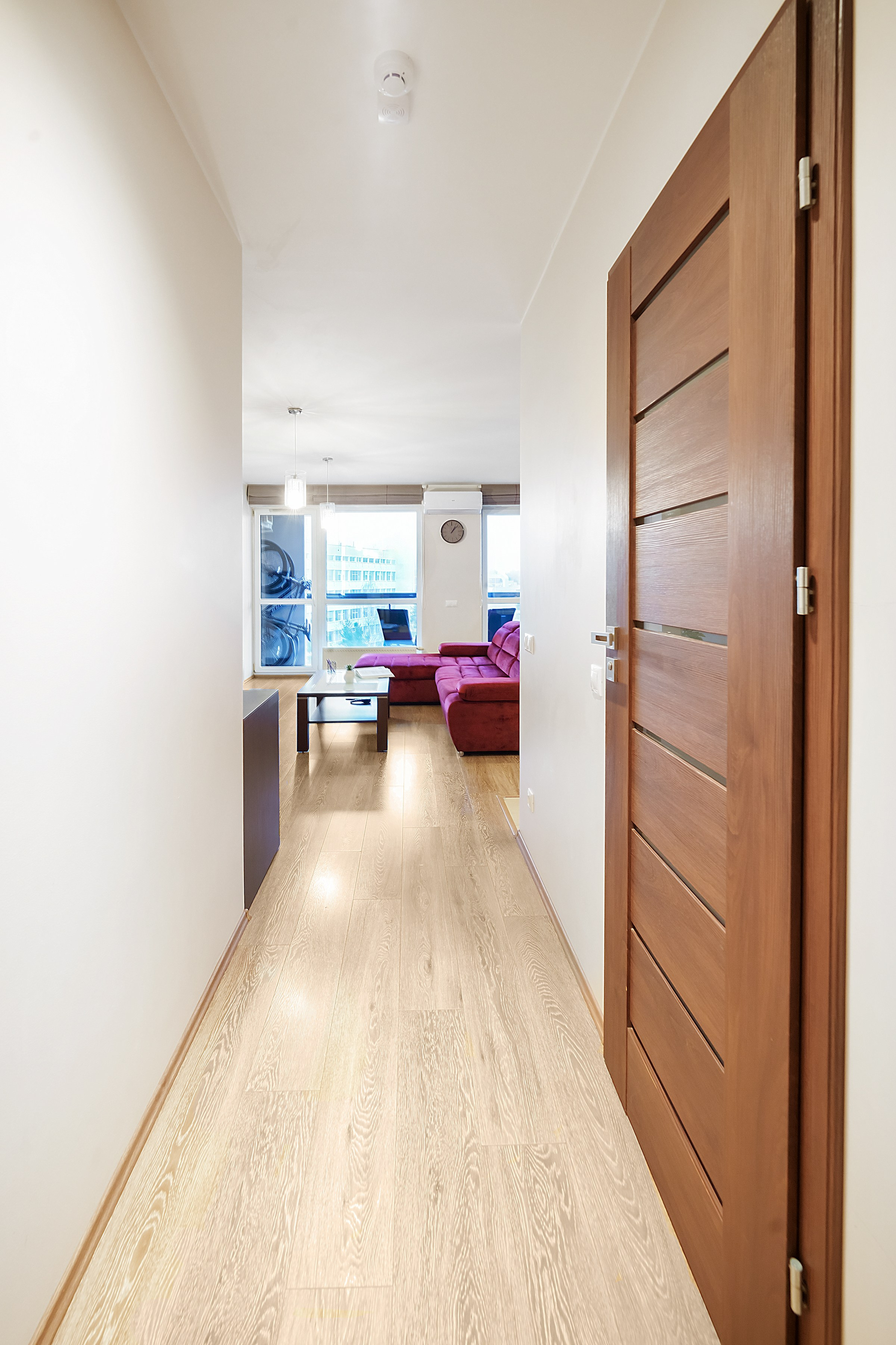 Bajorų kelias 1. Elina Sapiega fotografė Vilniuje