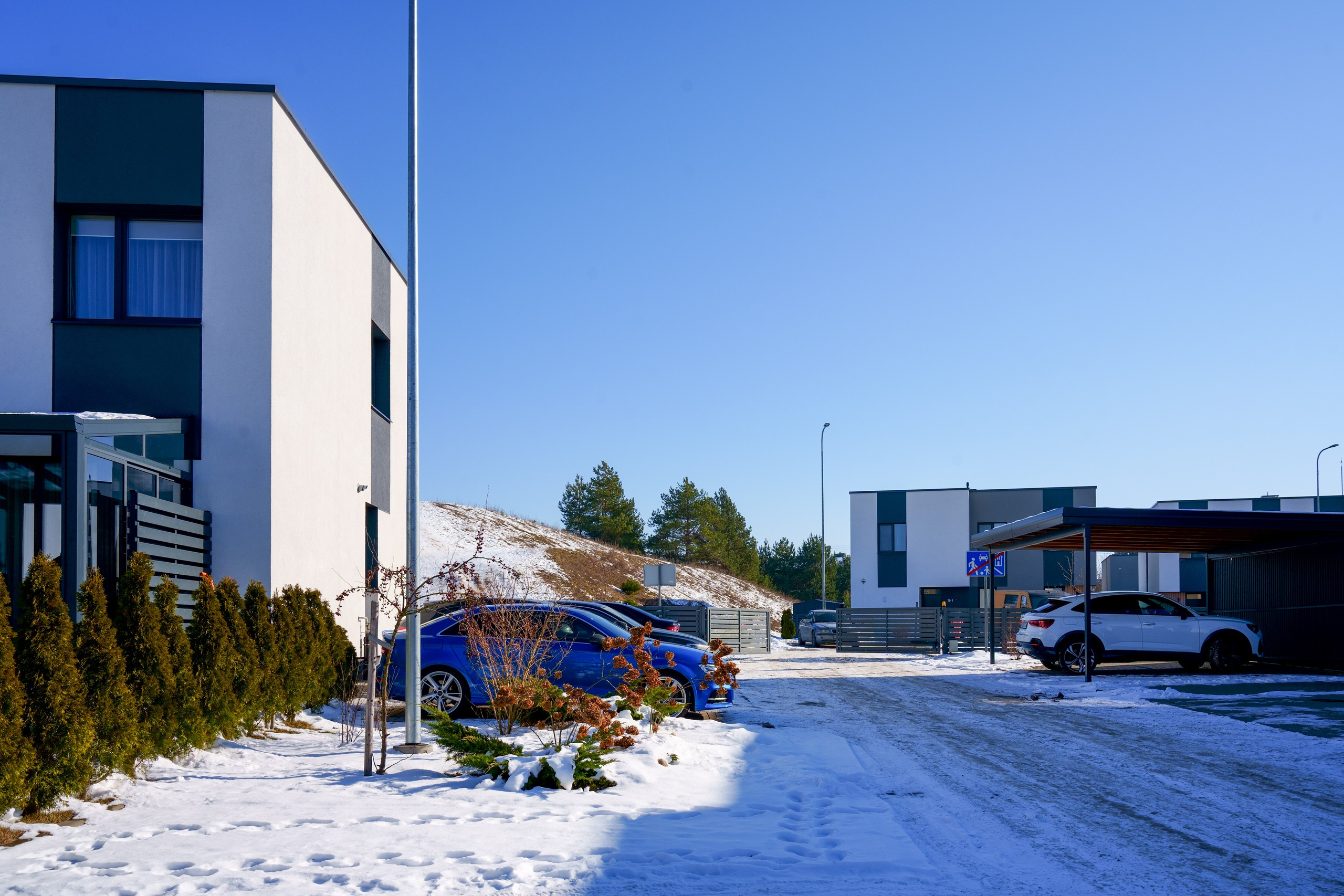 Ginetiškės, Pakonių g. Elina Sapiega fotografė Vilniuje