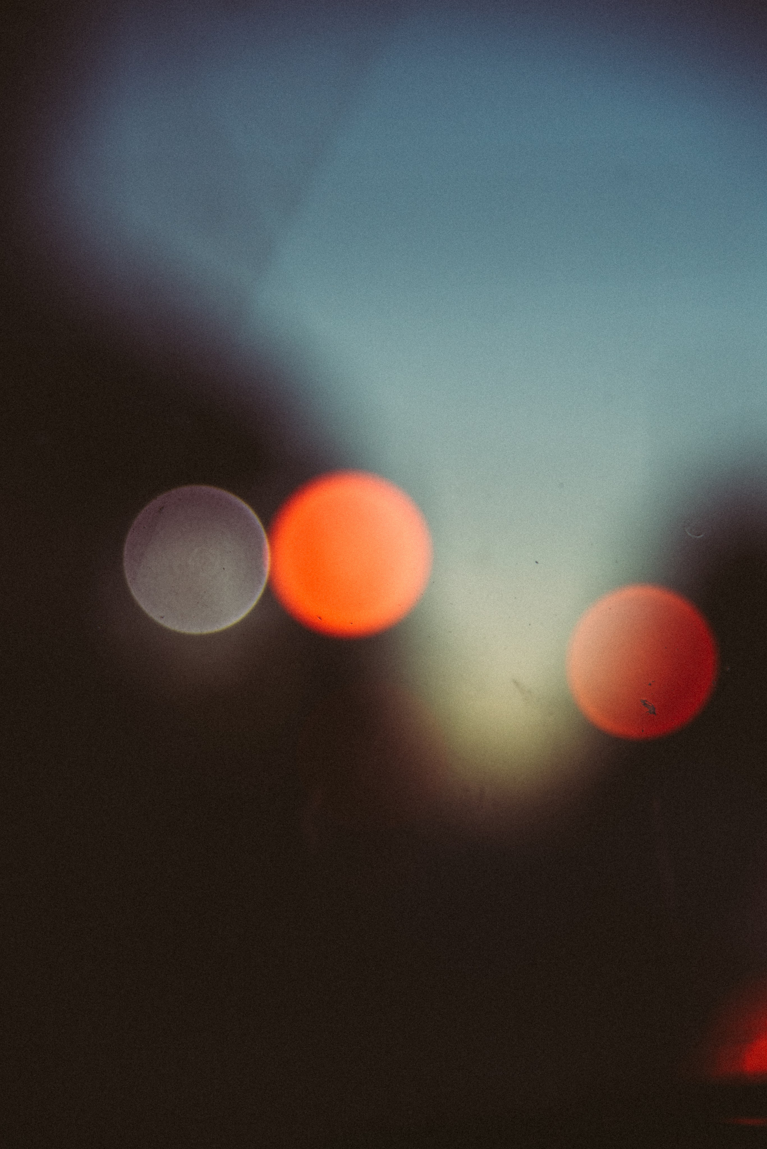 Family, couple and portrait photographer in Gold Coast