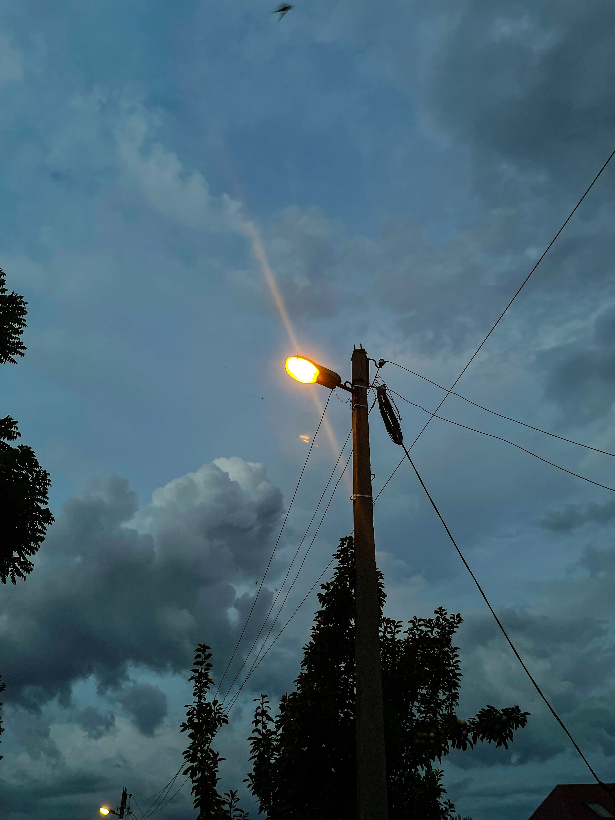 Фонари. Ekaterina Verbitskaya. Photography