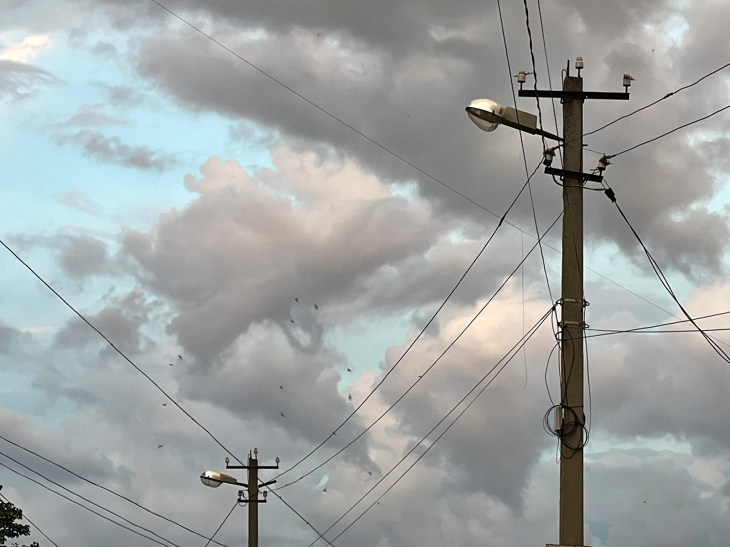 Фонари. Ekaterina Verbitskaya. Photography