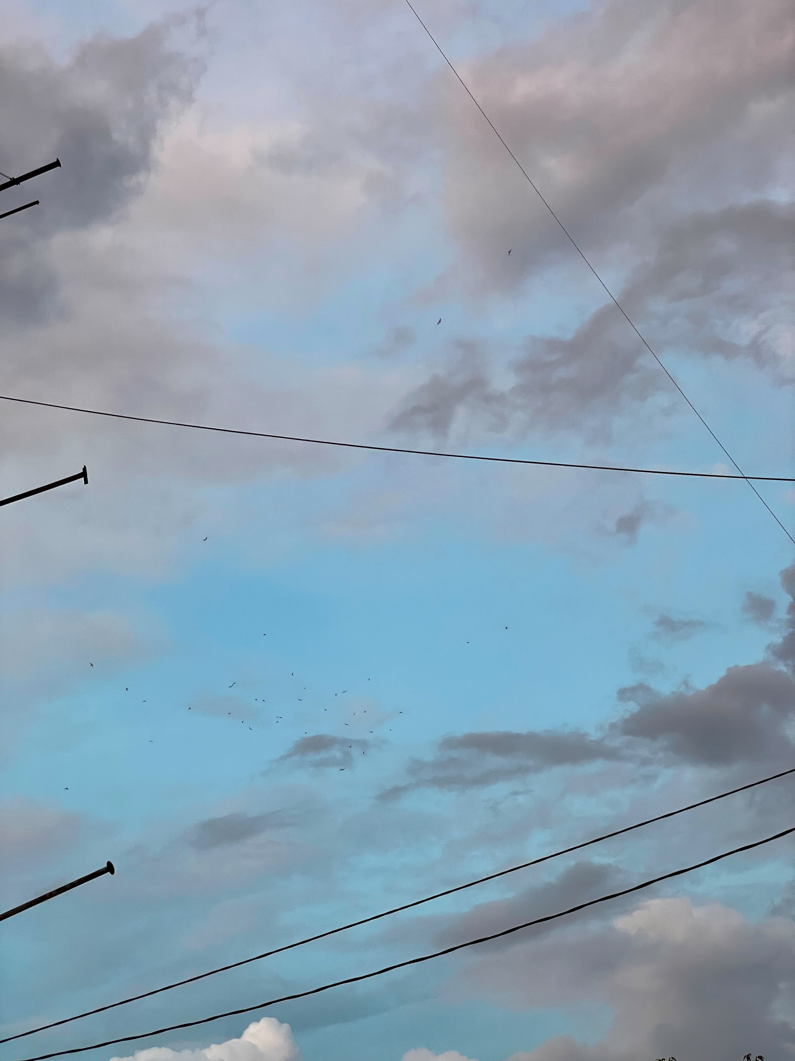 Фонари. Ekaterina Verbitskaya. Photography