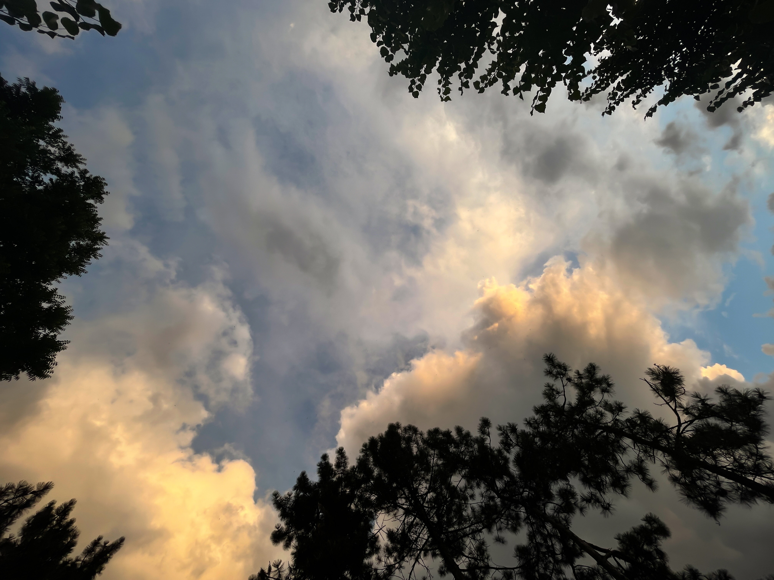 Фонари. Ekaterina Verbitskaya. Photography