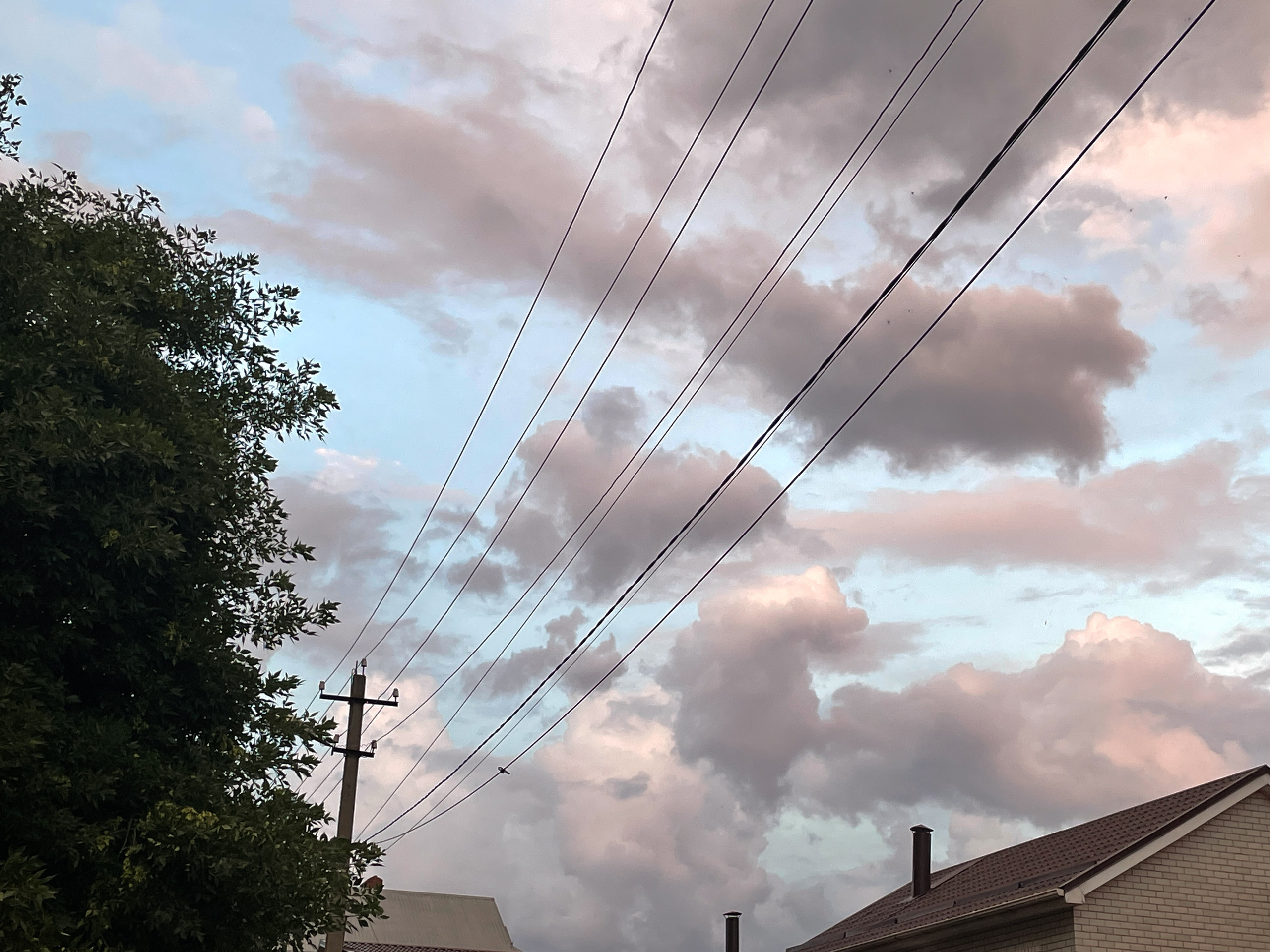 Фонари. Ekaterina Verbitskaya. Photography