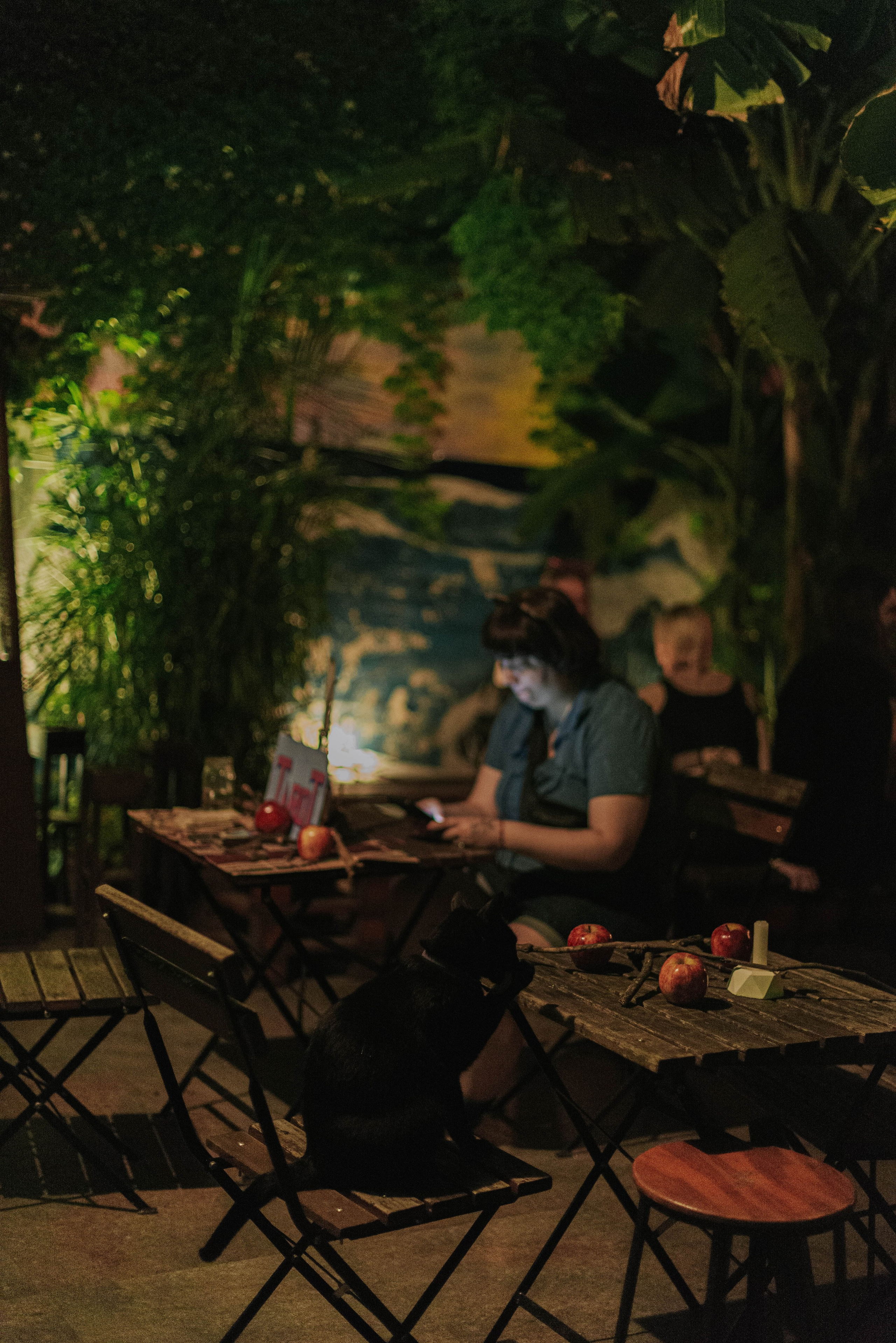 Ladno.cooperativa. Photographer @elmirkami in the city of Buenos Aires