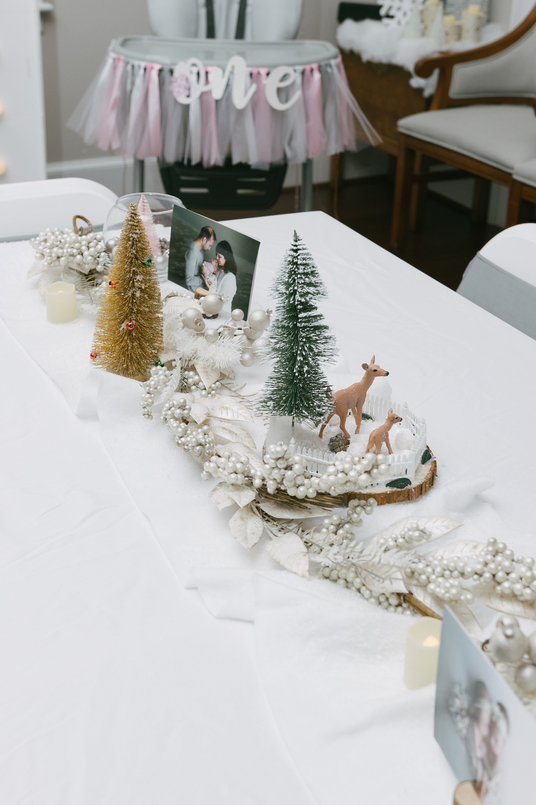 Twins Birthday. Sara Eulalia | Virginia Photographer