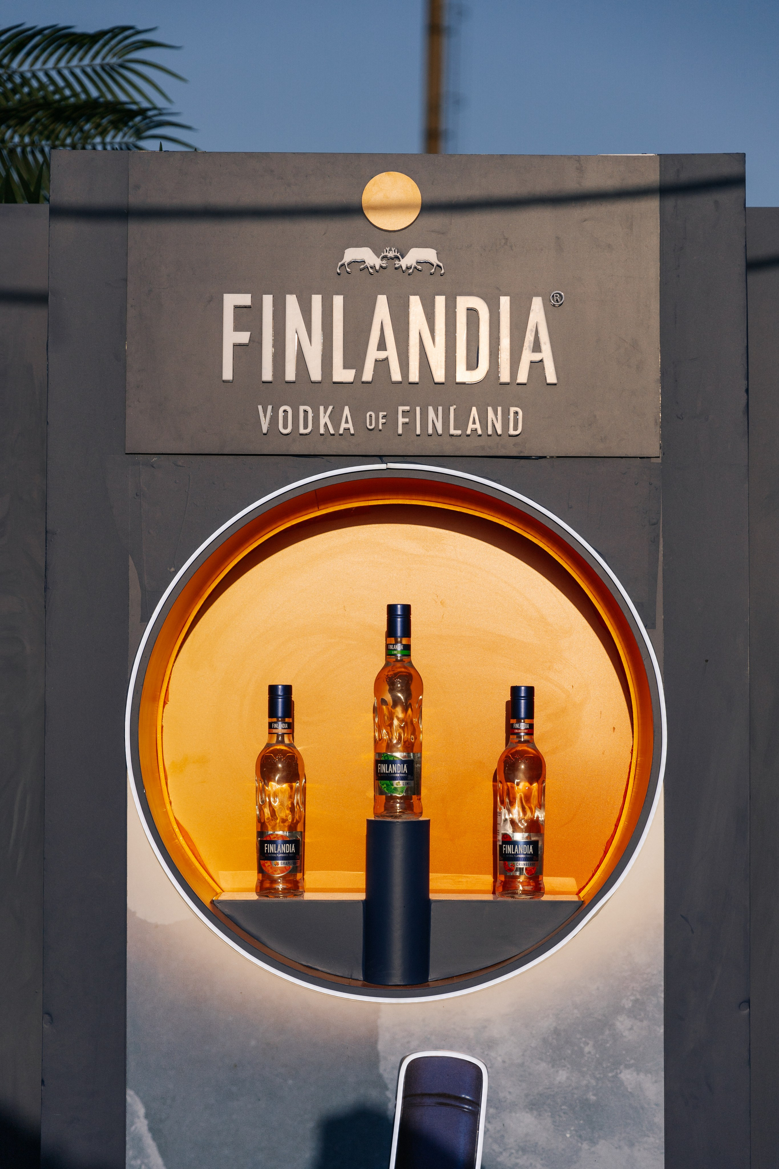 TOP SEXY — VIP MAGAZIN. Fulga Photographer