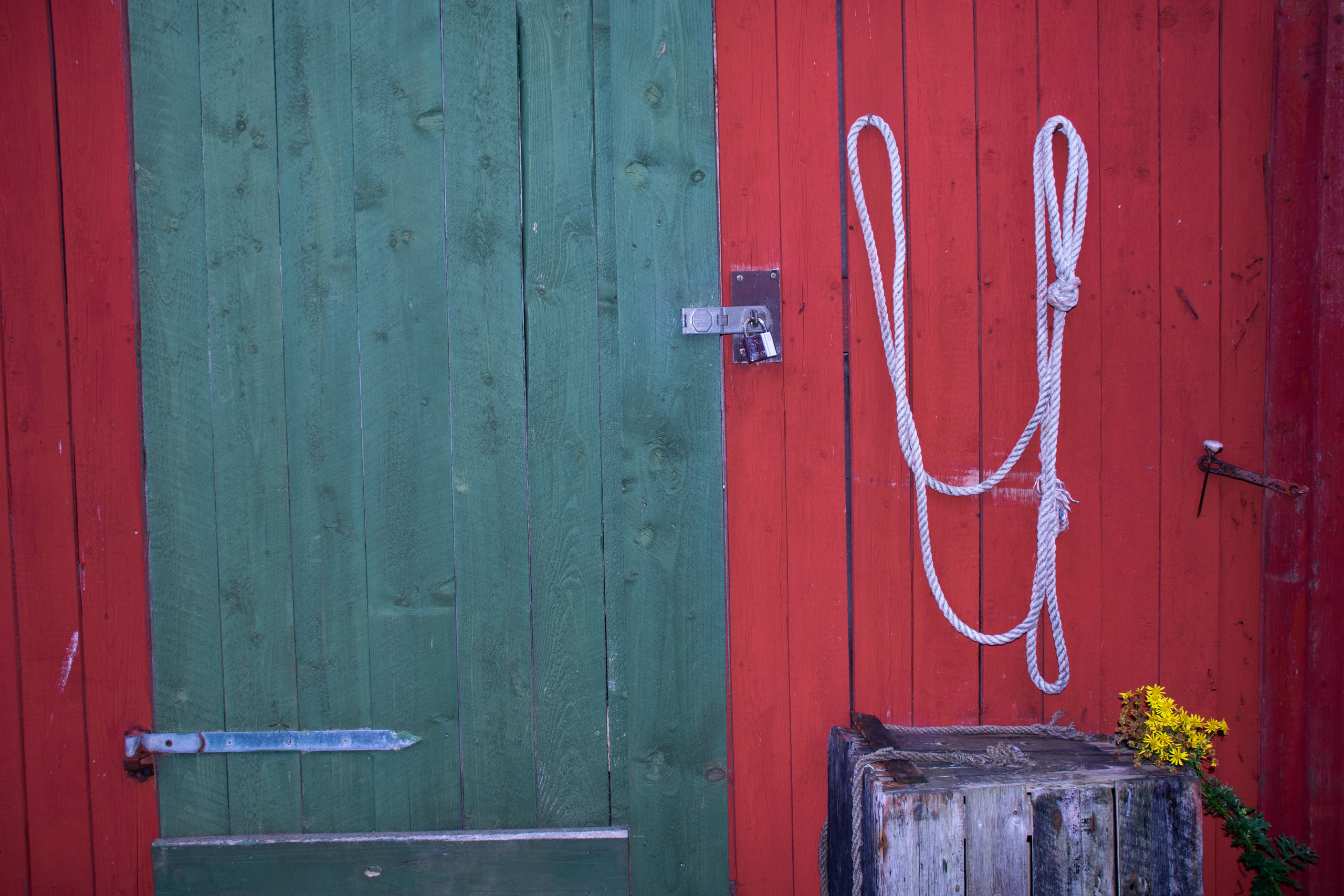 Portfolio. Photographer in Sotenäs municipality. Fotograf i Sotenäs kommun