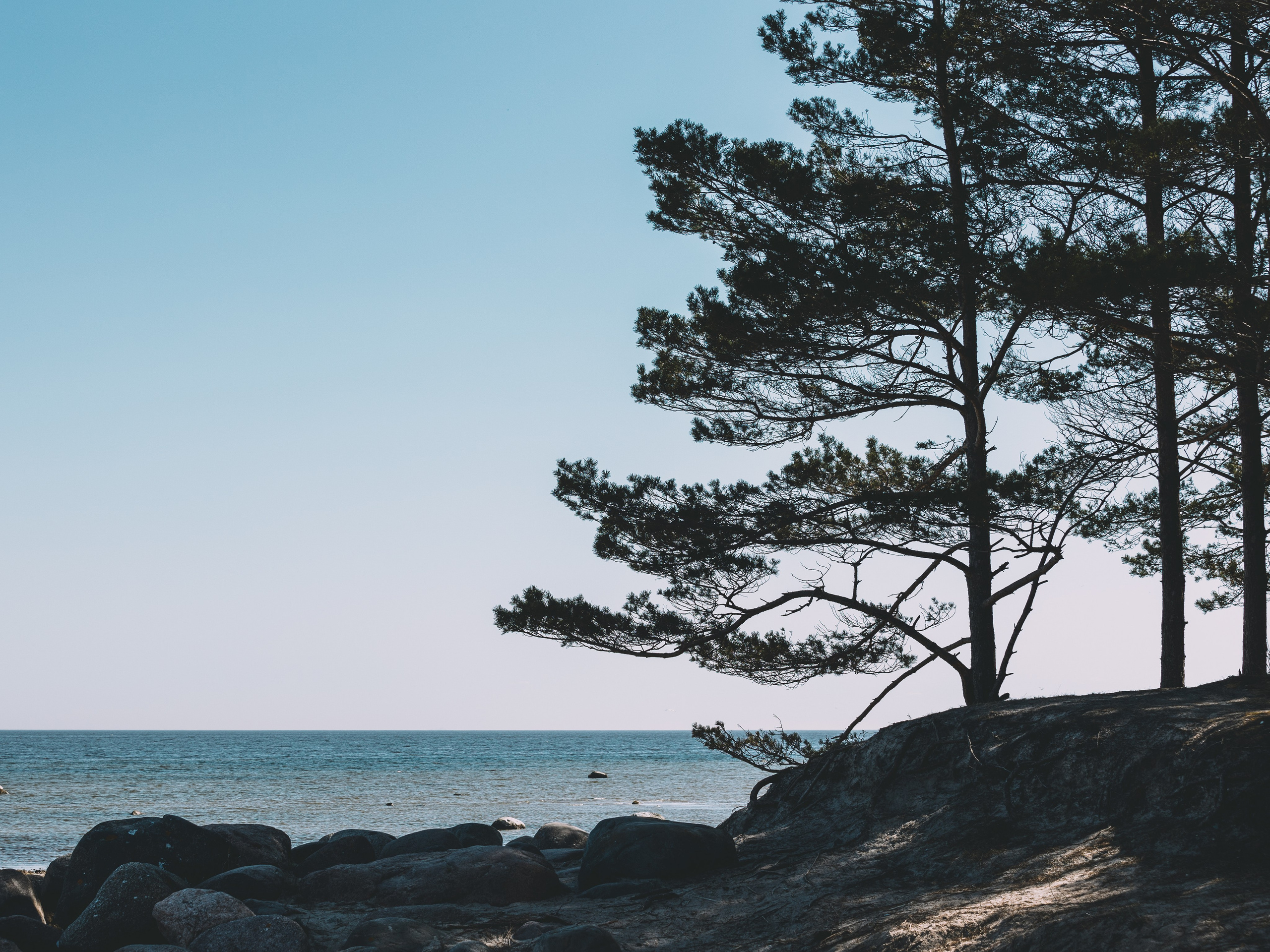 Dažādas fotogrāfijas. Sajūtu un mirkļu fotogrāfs no Rīgas, Mārtiņš Babris
