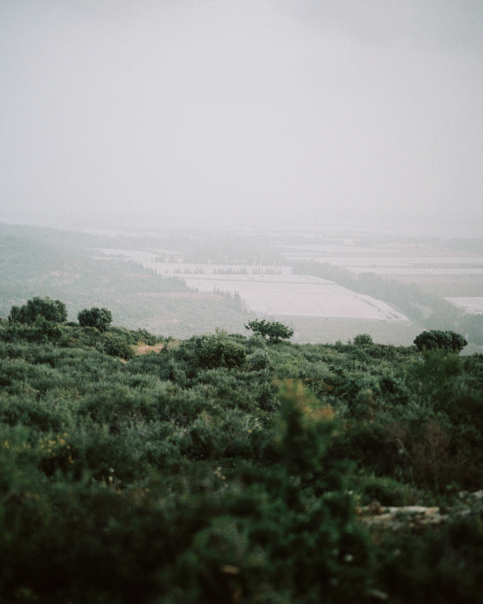 JULIE. Photographer Inna Mendelson