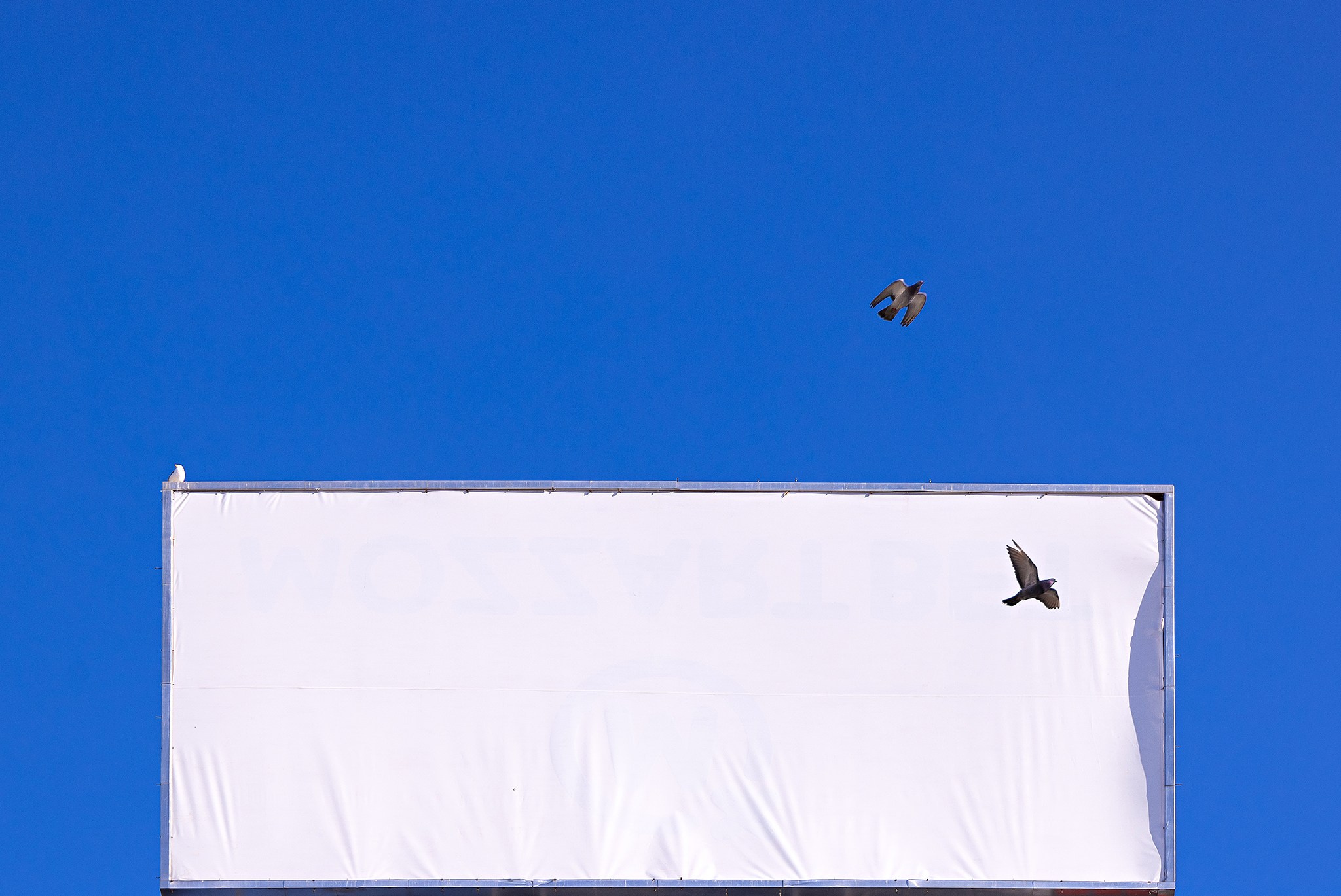 Minimal. Photography by Mircea Maieru