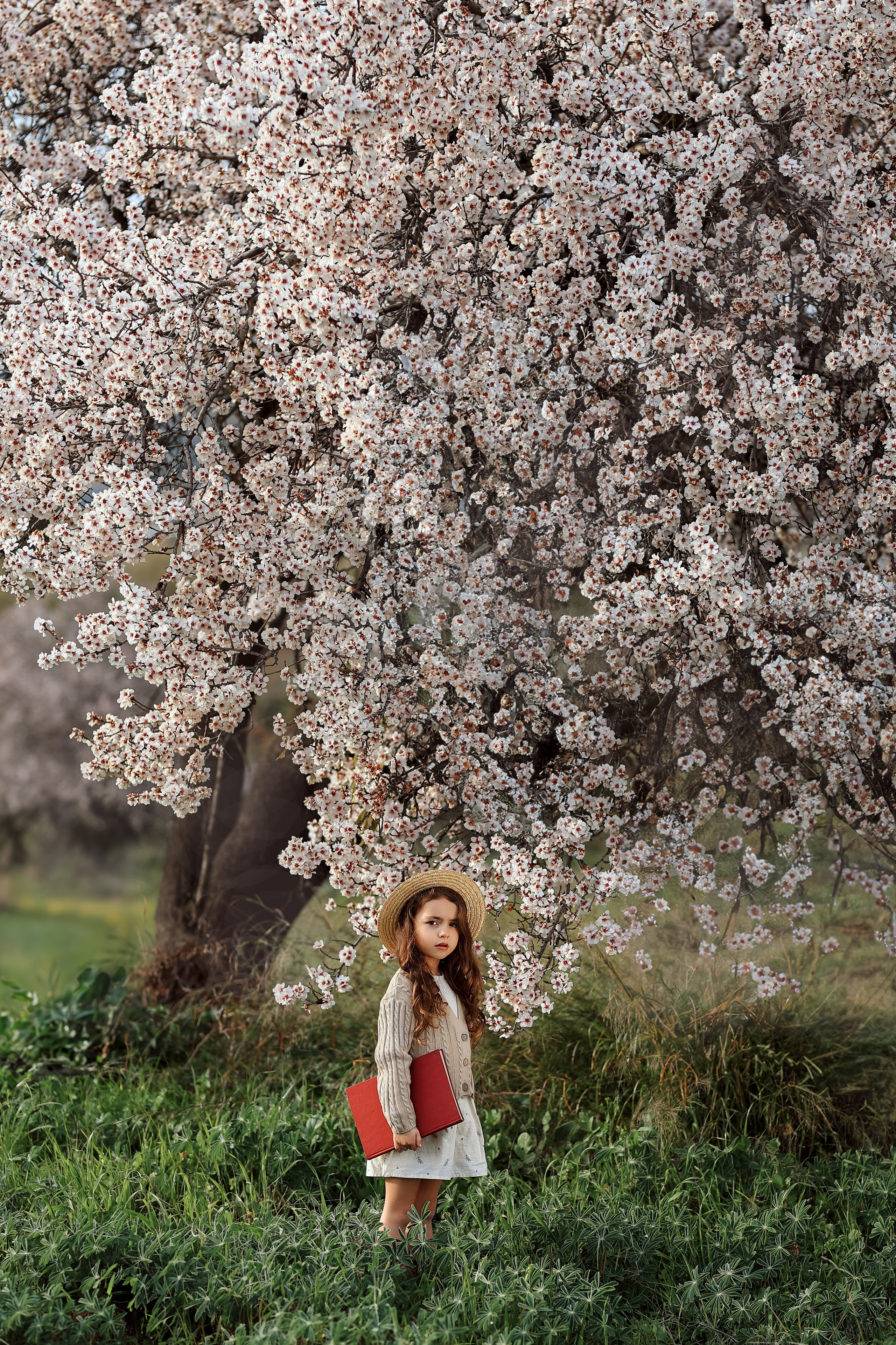 Фотосессия в цветущем миндале. Фотограф в Турции, Анталии, Кемере, Белеке, Сиде, Каше, Калкане, Фетхие