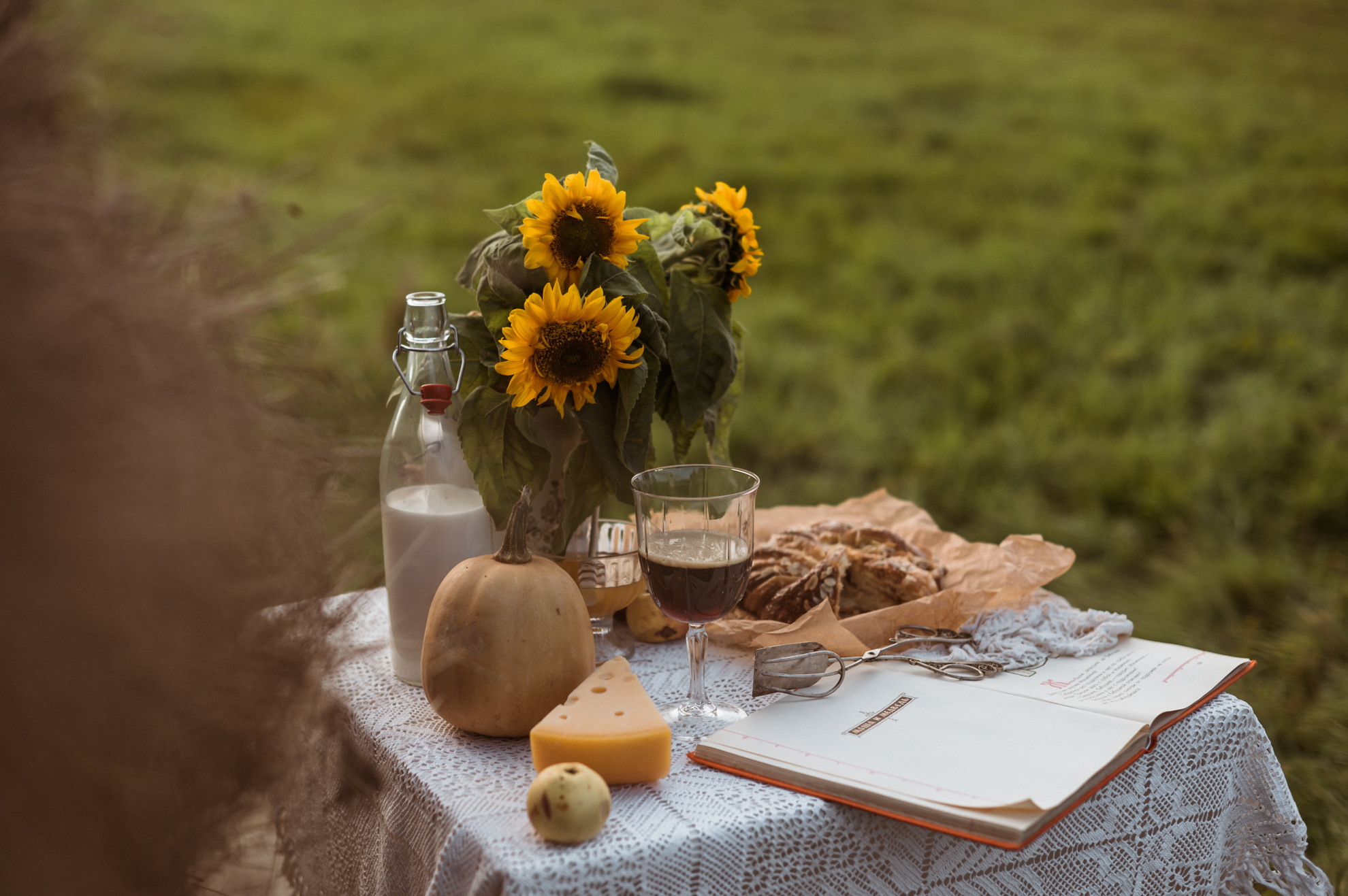 Picknick im Feld. Fotografin in Leipzig Dresden