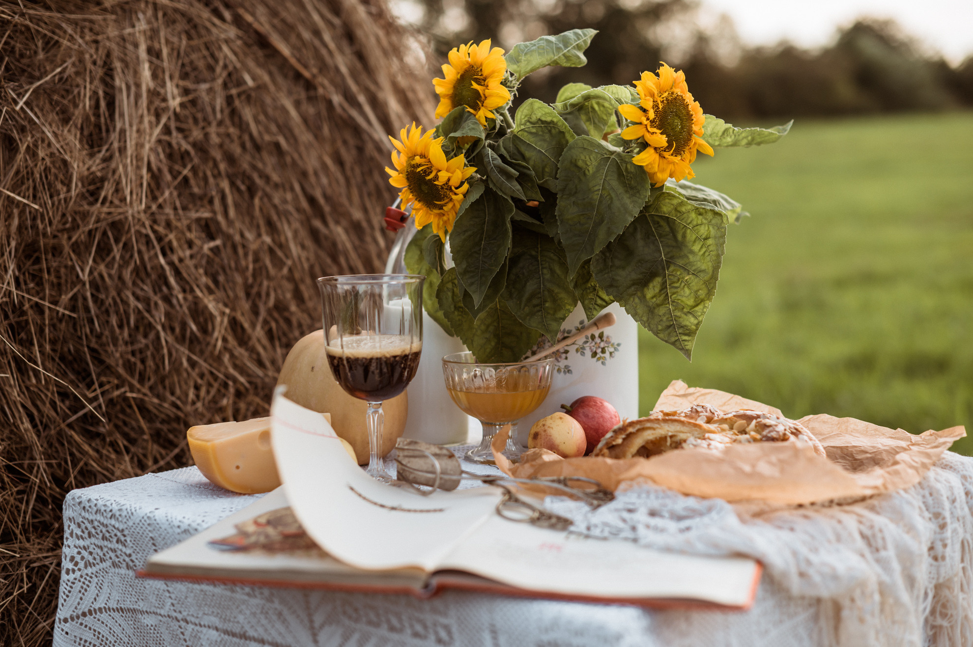 Picknick im Feld. Fotografin in Leipzig Dresden