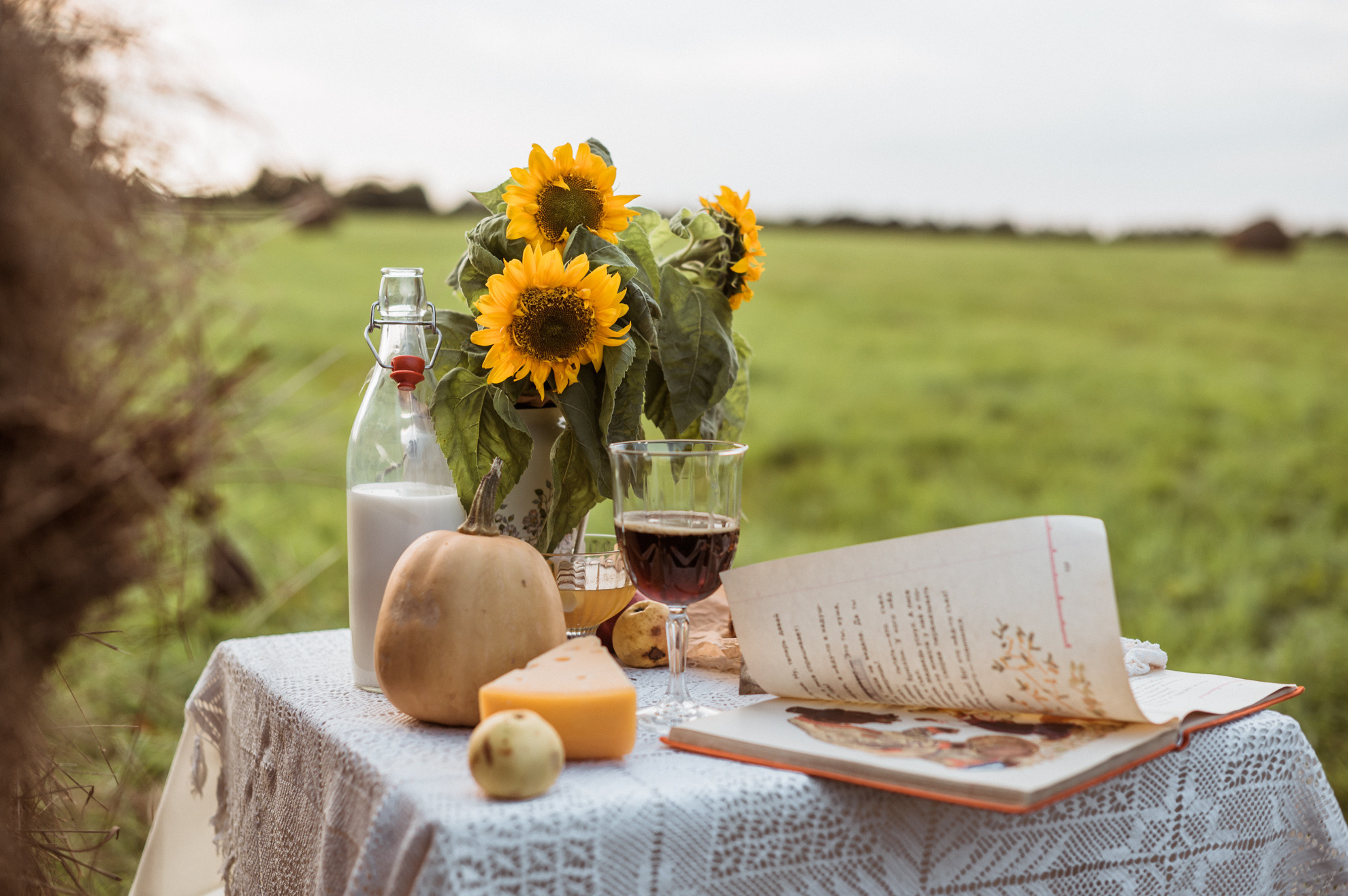Picknick im Feld. Fotografin in Leipzig Dresden