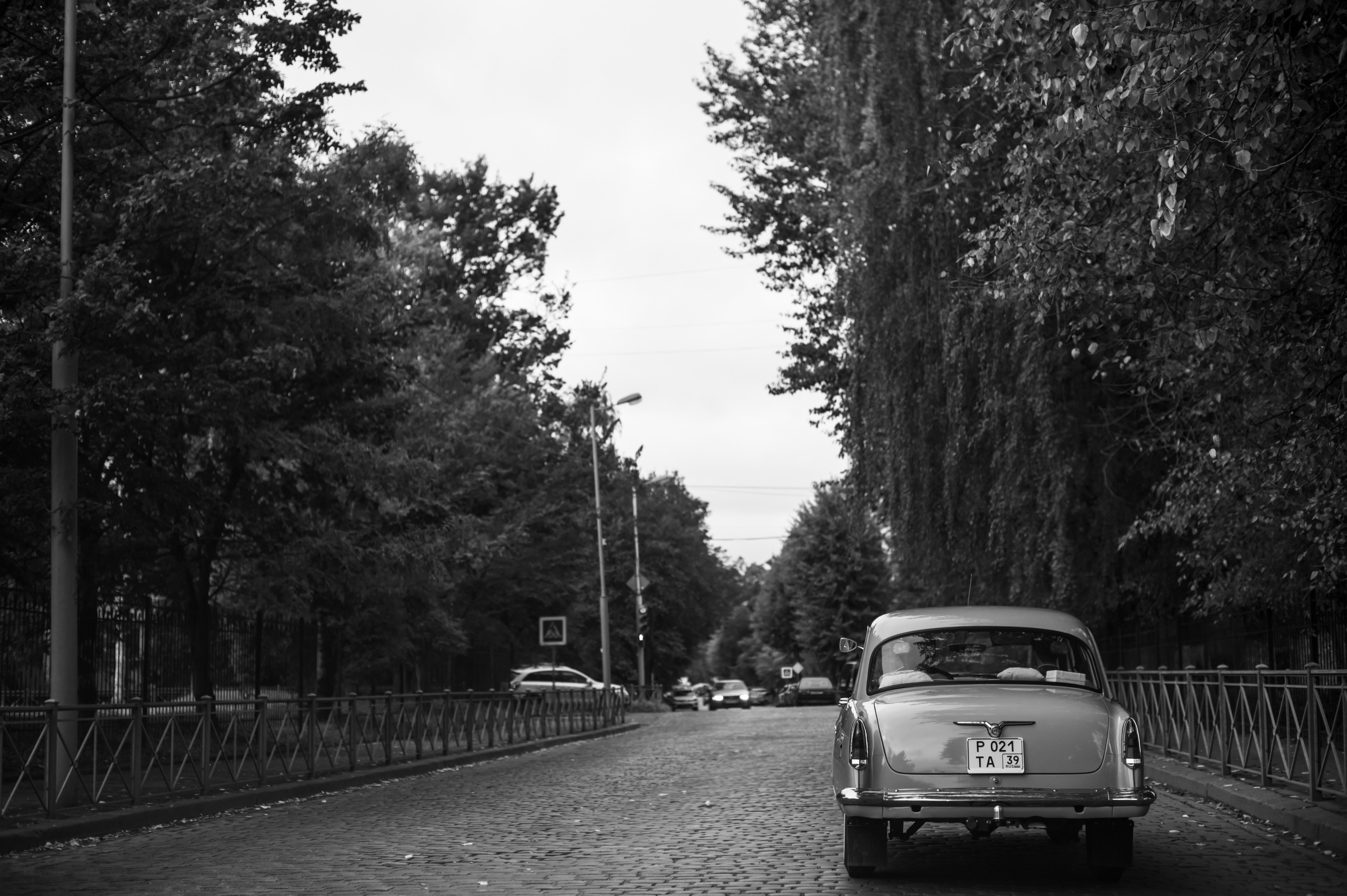Konstantin & Veronika. Fotografin in Leipzig Dresden