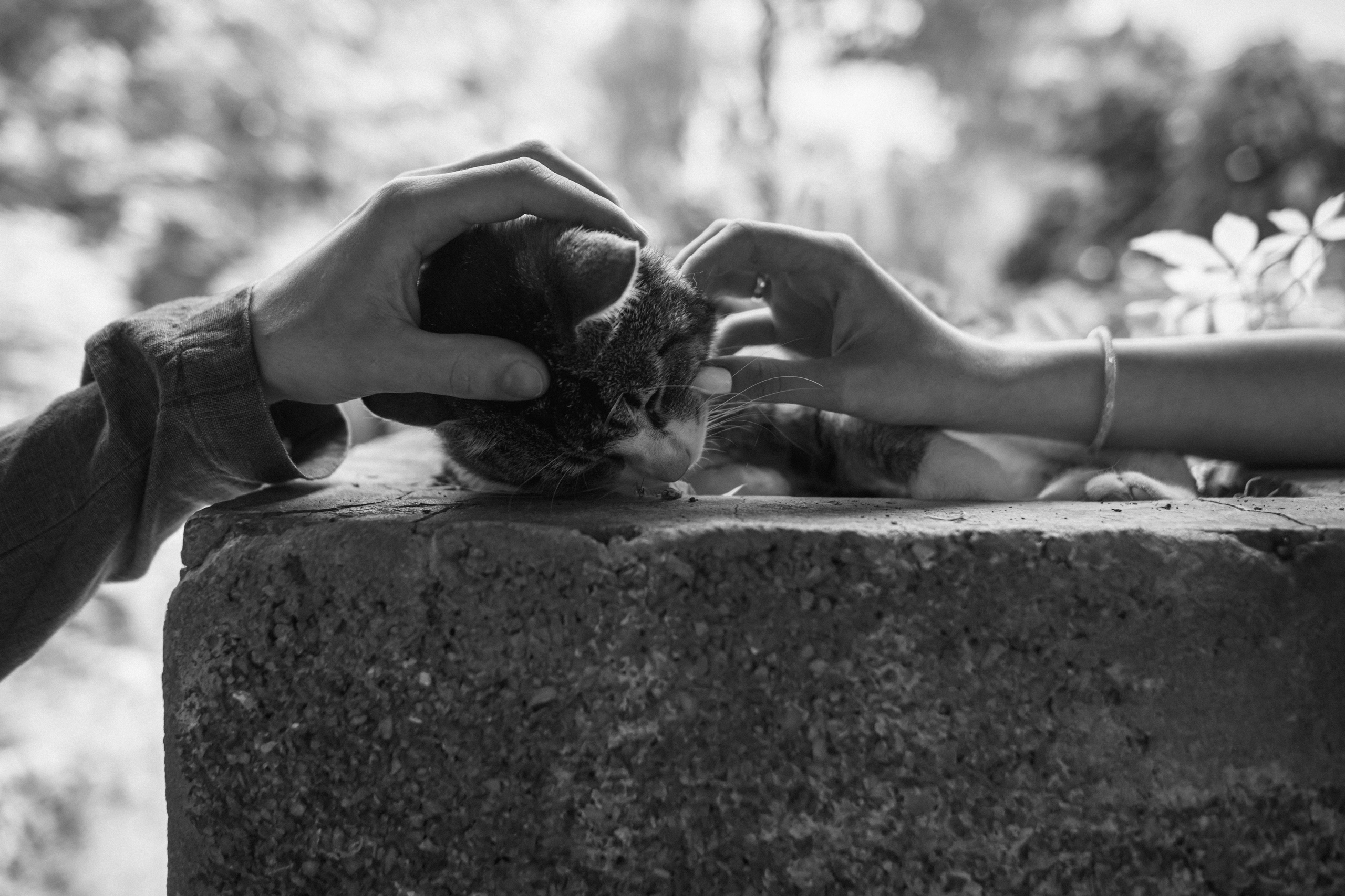 Andrej & Elisabeth. Fotografin in Leipzig Dresden