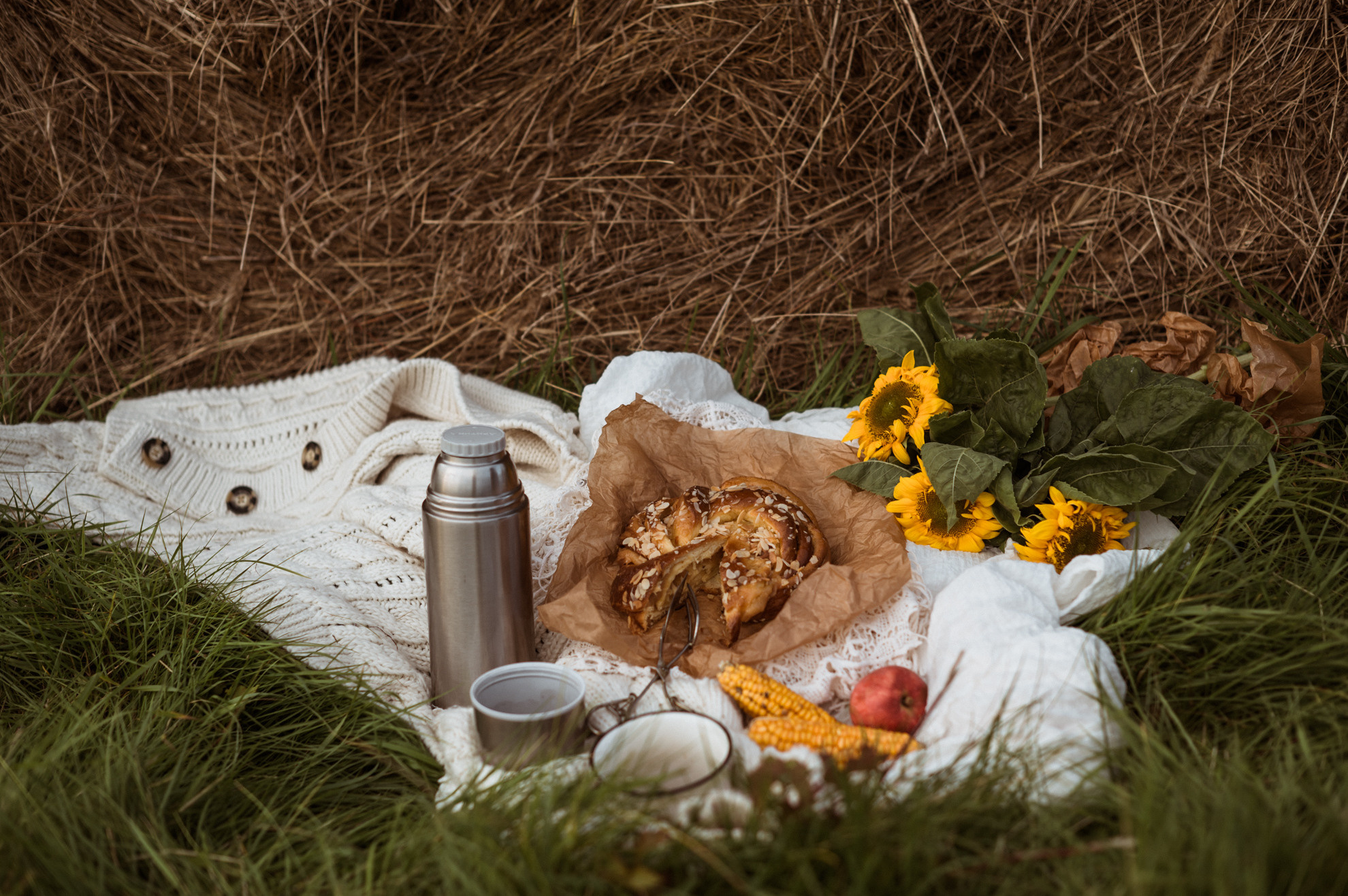 Picknick im Feld. Fotografin in Leipzig Dresden