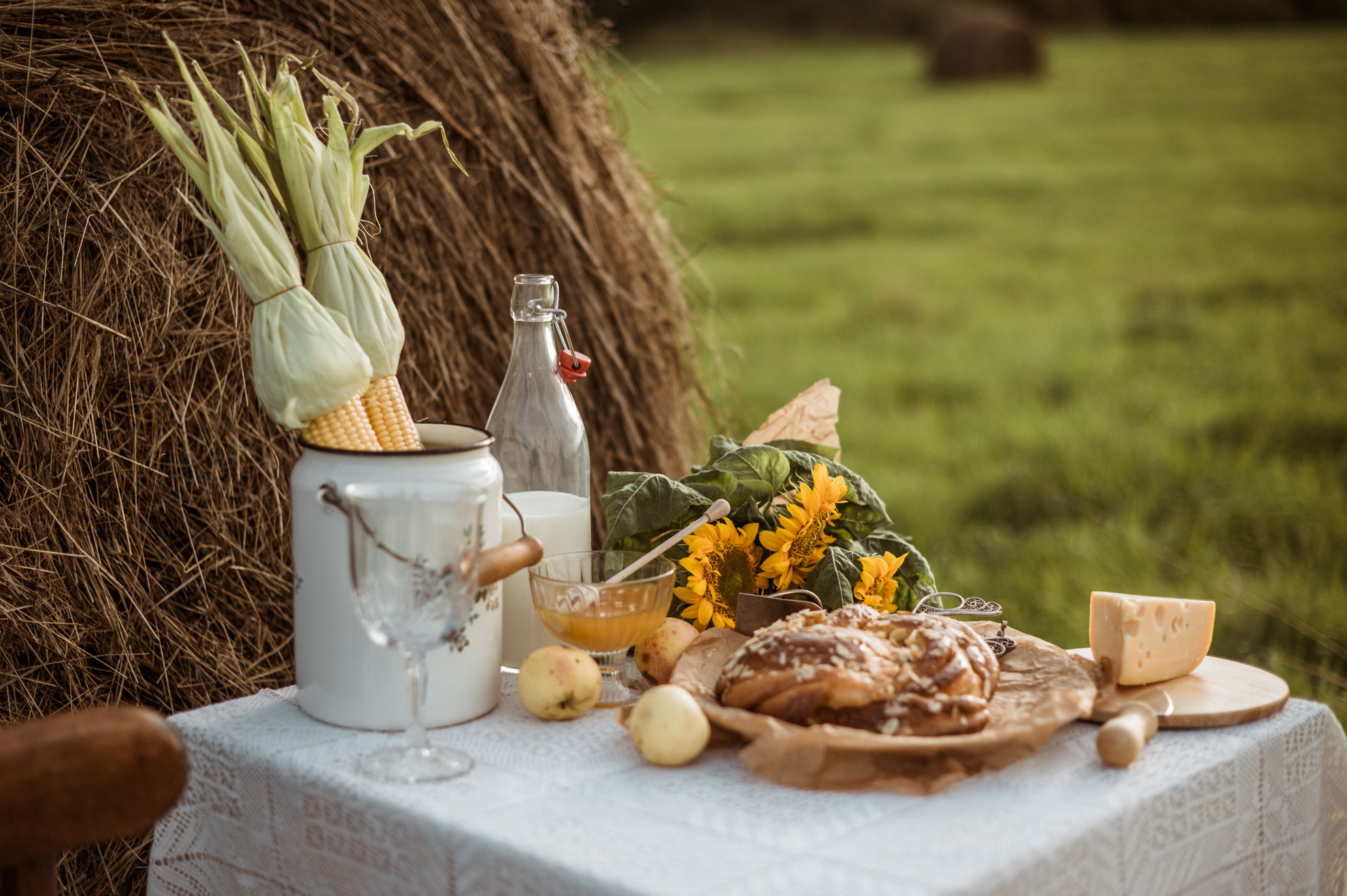 Picknick im Feld. Fotografin in Leipzig Dresden