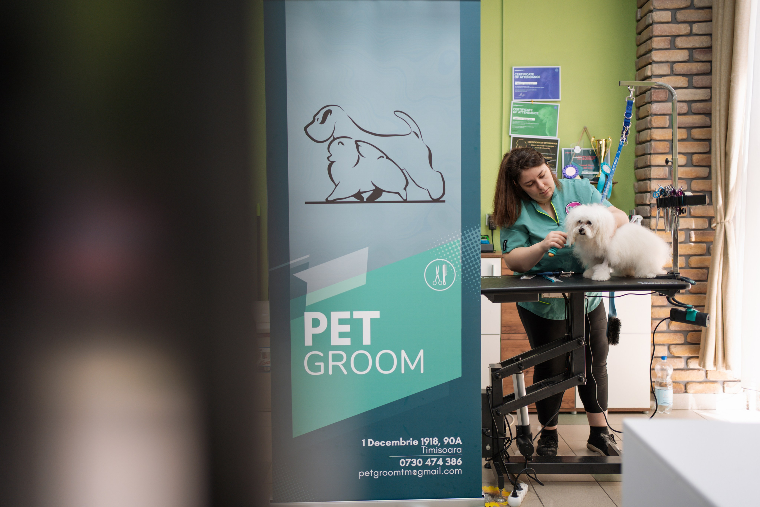 PetGroom Timisoara. Cozac Cristian Photographer