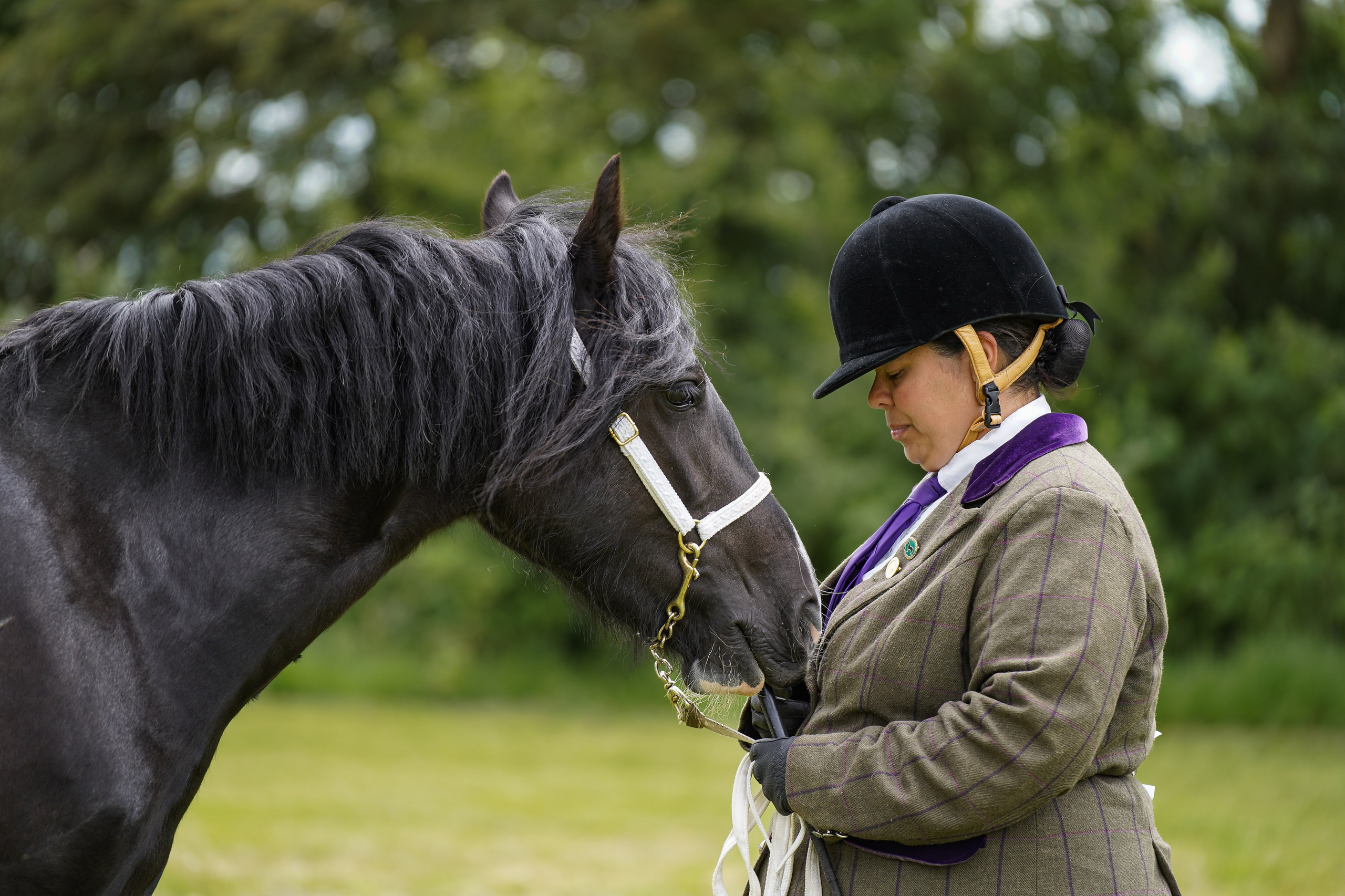 Showing. Leicestershire Equine Photography by El | Authentic Equine Portraits & Events