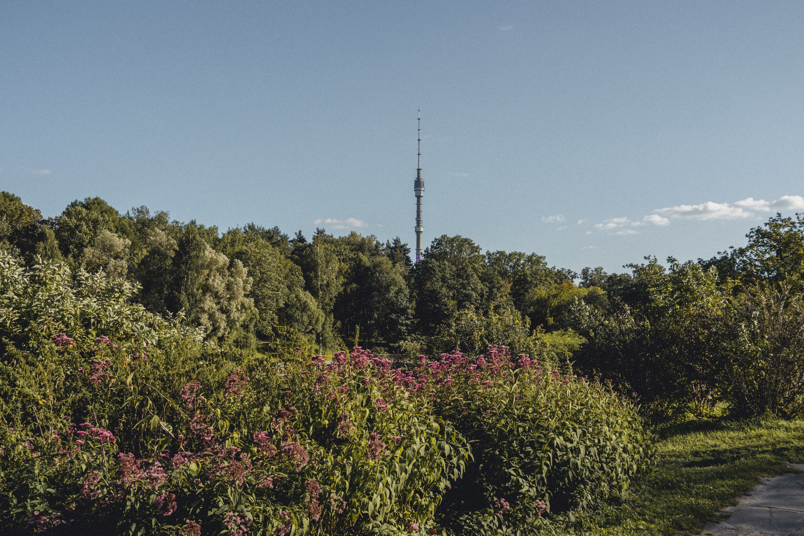 ВДНХ и Ботанический сад. Семейный и детский фотограф на Лазурном Берегу