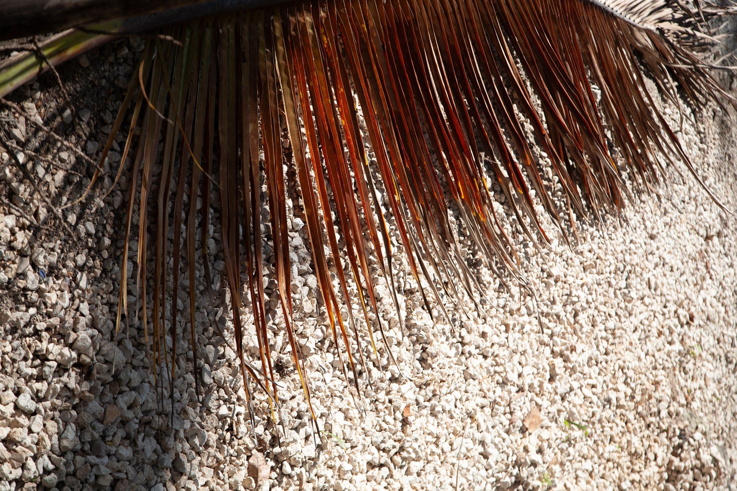 TULUM. ECO HOTEL. Lero Photographer and a set designer|individual custom portrait and advertising photography in Zutphen