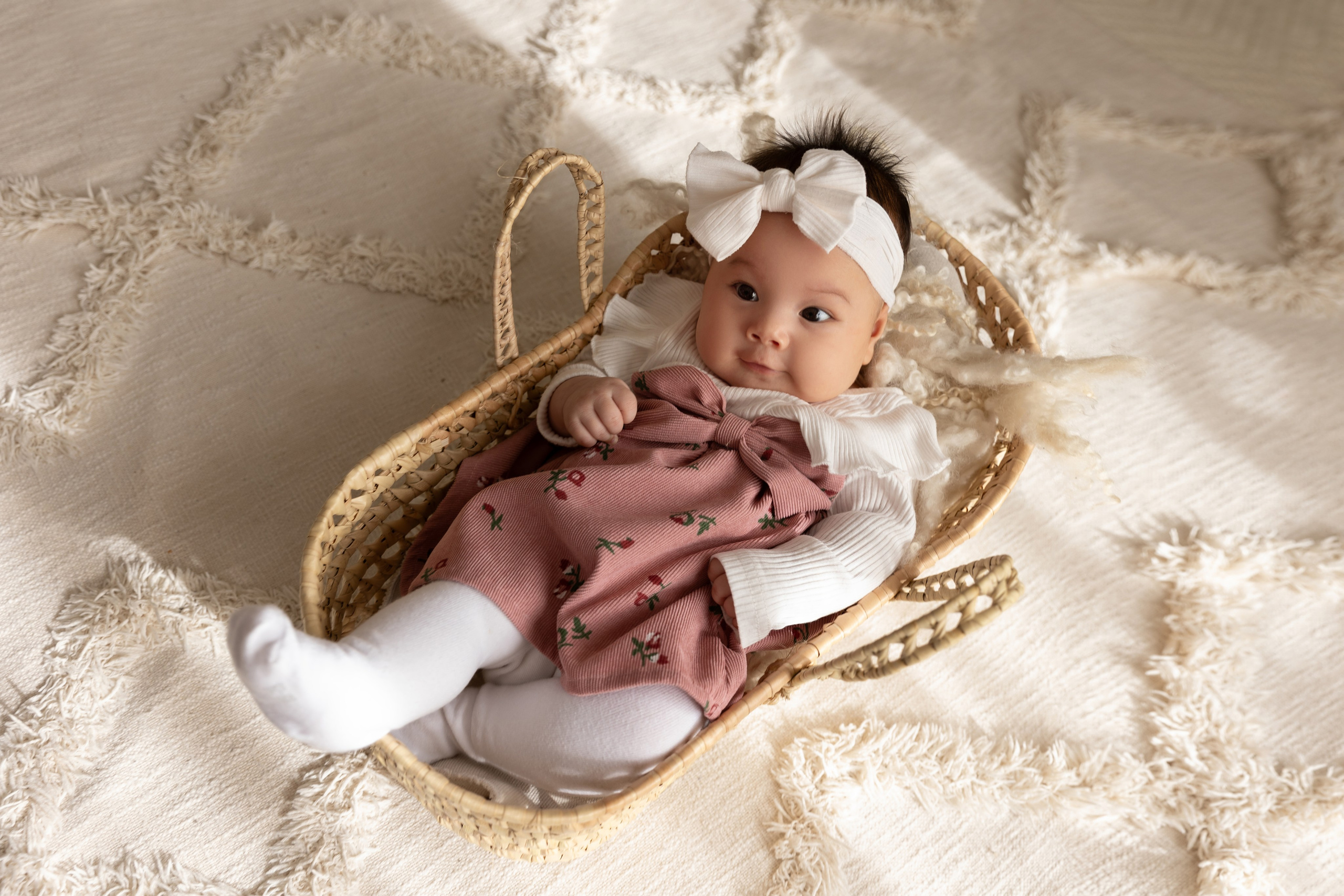 Sitter. Baby- und Familienfotografin in Iserlohn Swetlana Benner