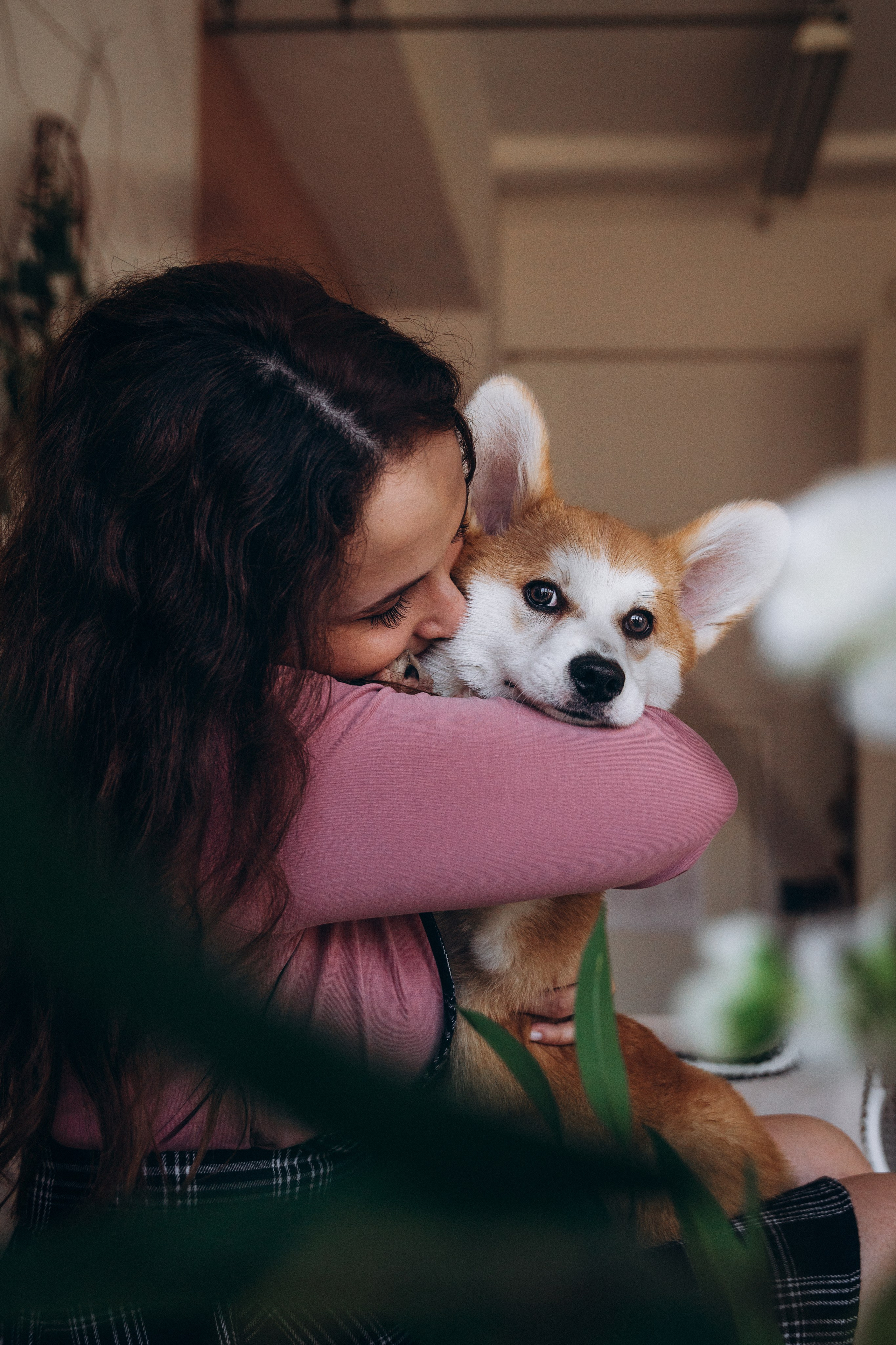 Mars & his Family. Kat Laisaar — Pet photographer in Tallinn