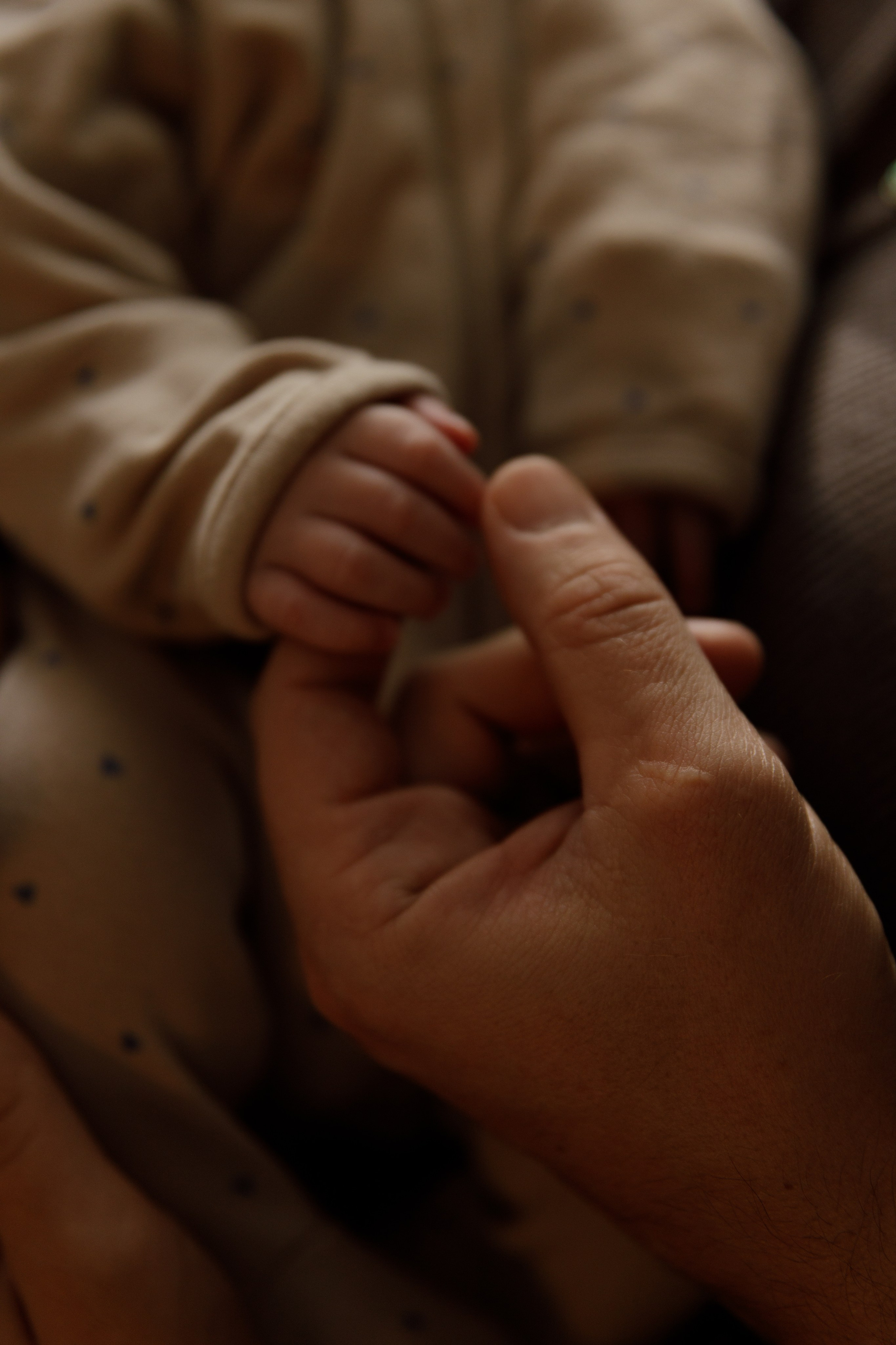 Family history. Семейный детский фотограф Бляхер Ирина в Израиле