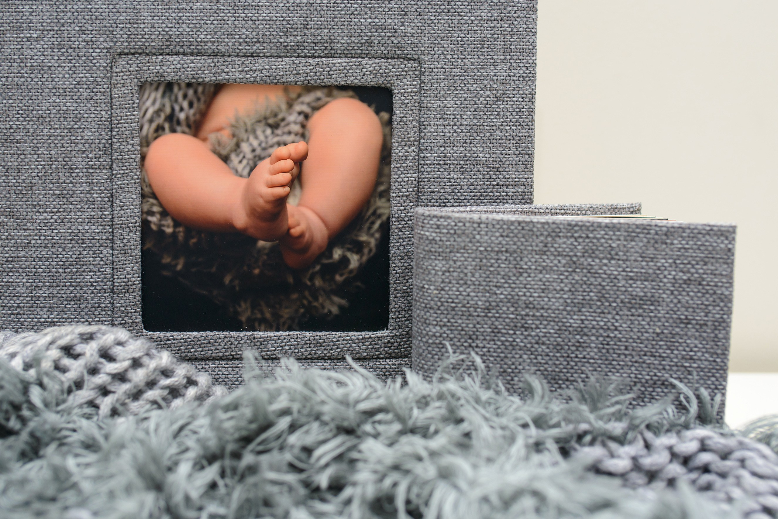 Albume Bogdan Palenciuc