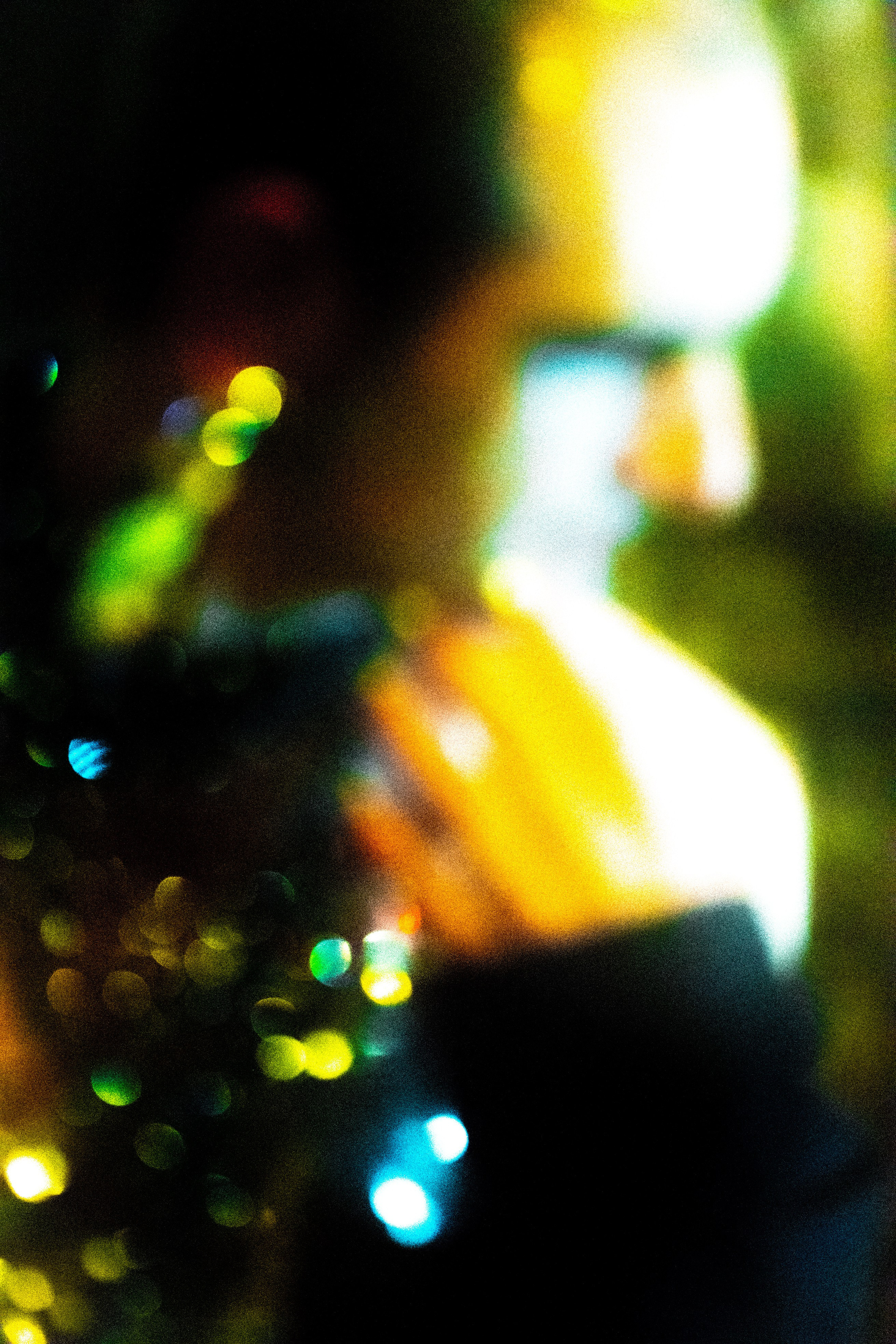 CHARLES　PROJECT. Anna Miyauchi