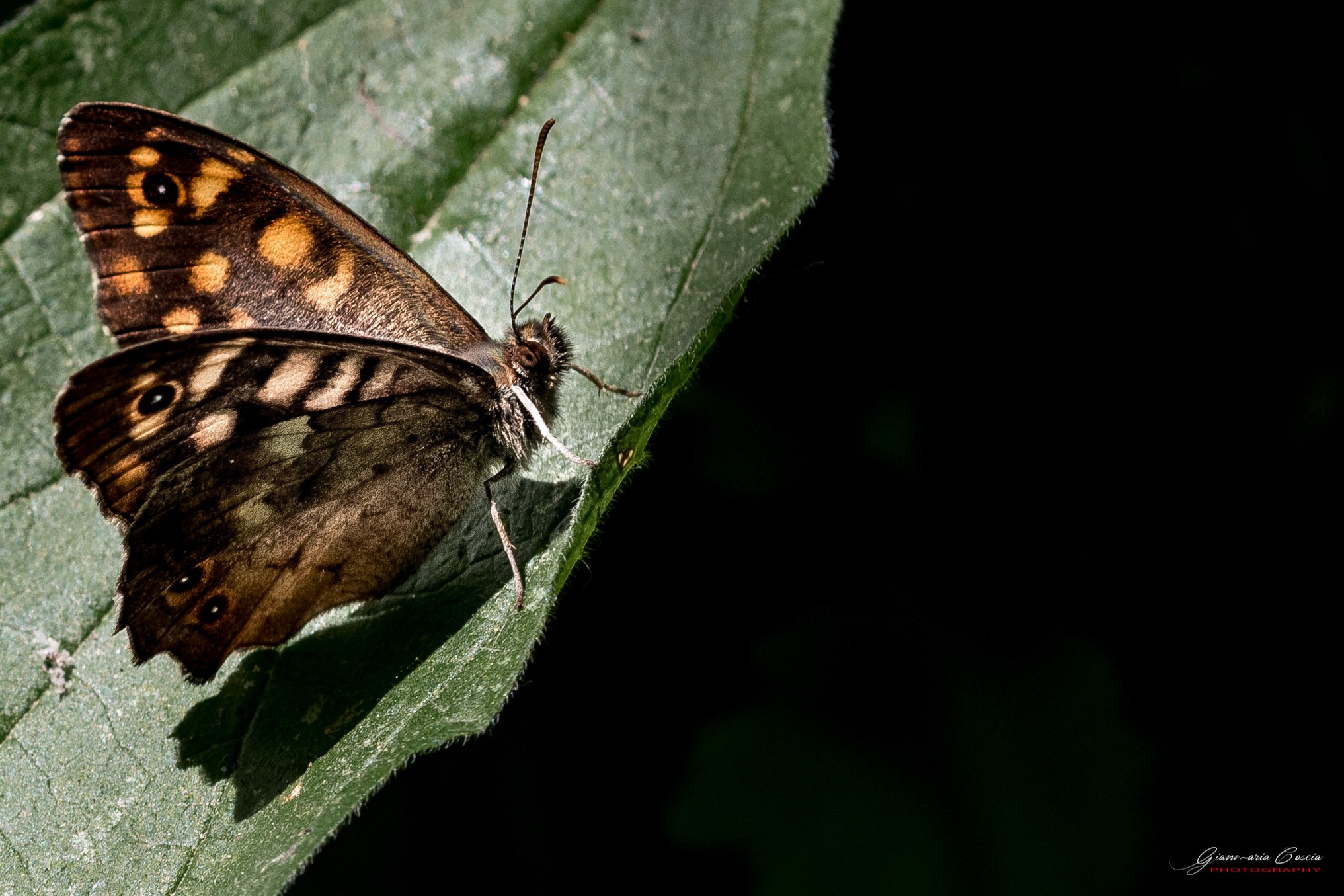 “Gianmaria Coscia fotografo per passione”