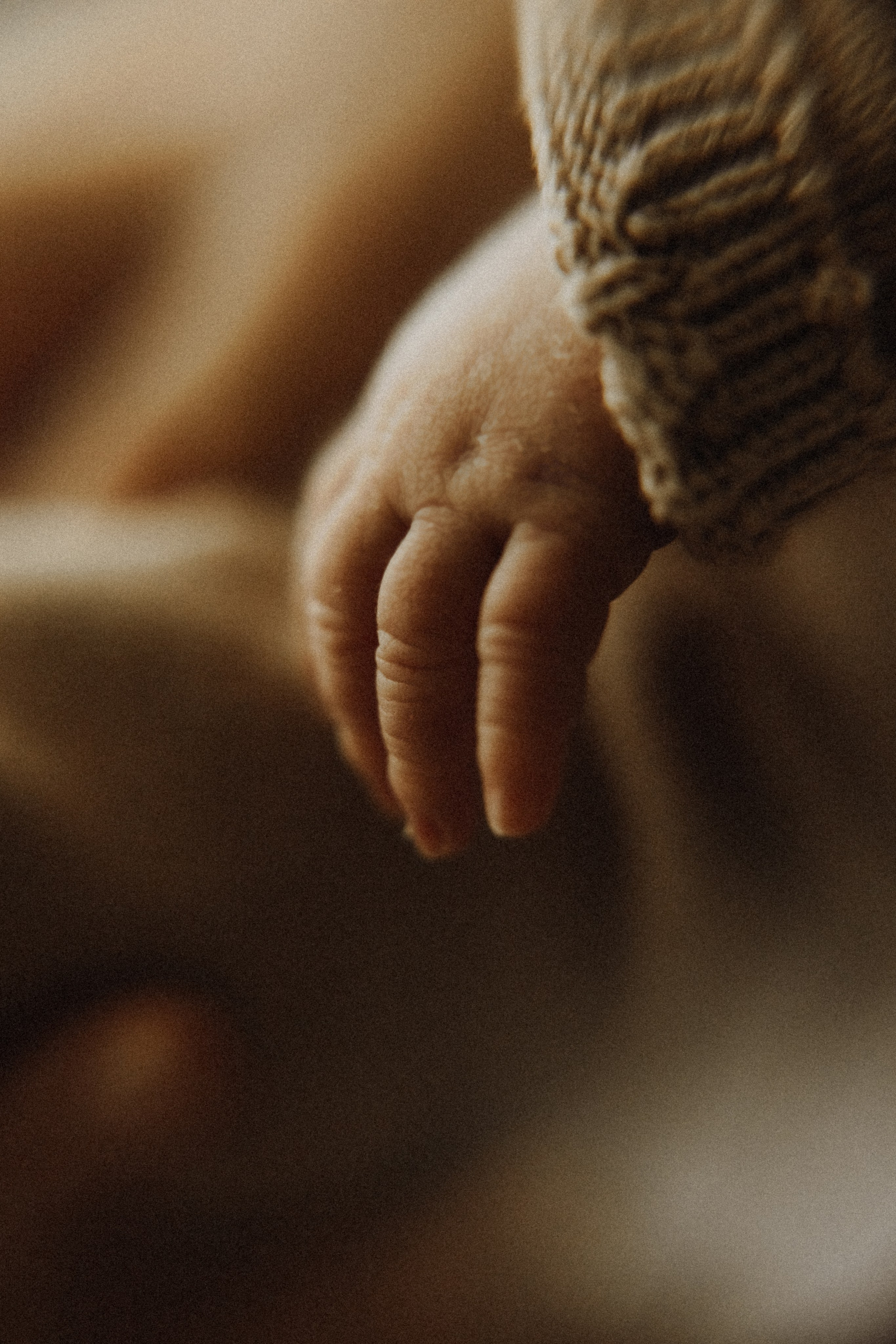 Baby Boy. Фотограф Ирина Йотова