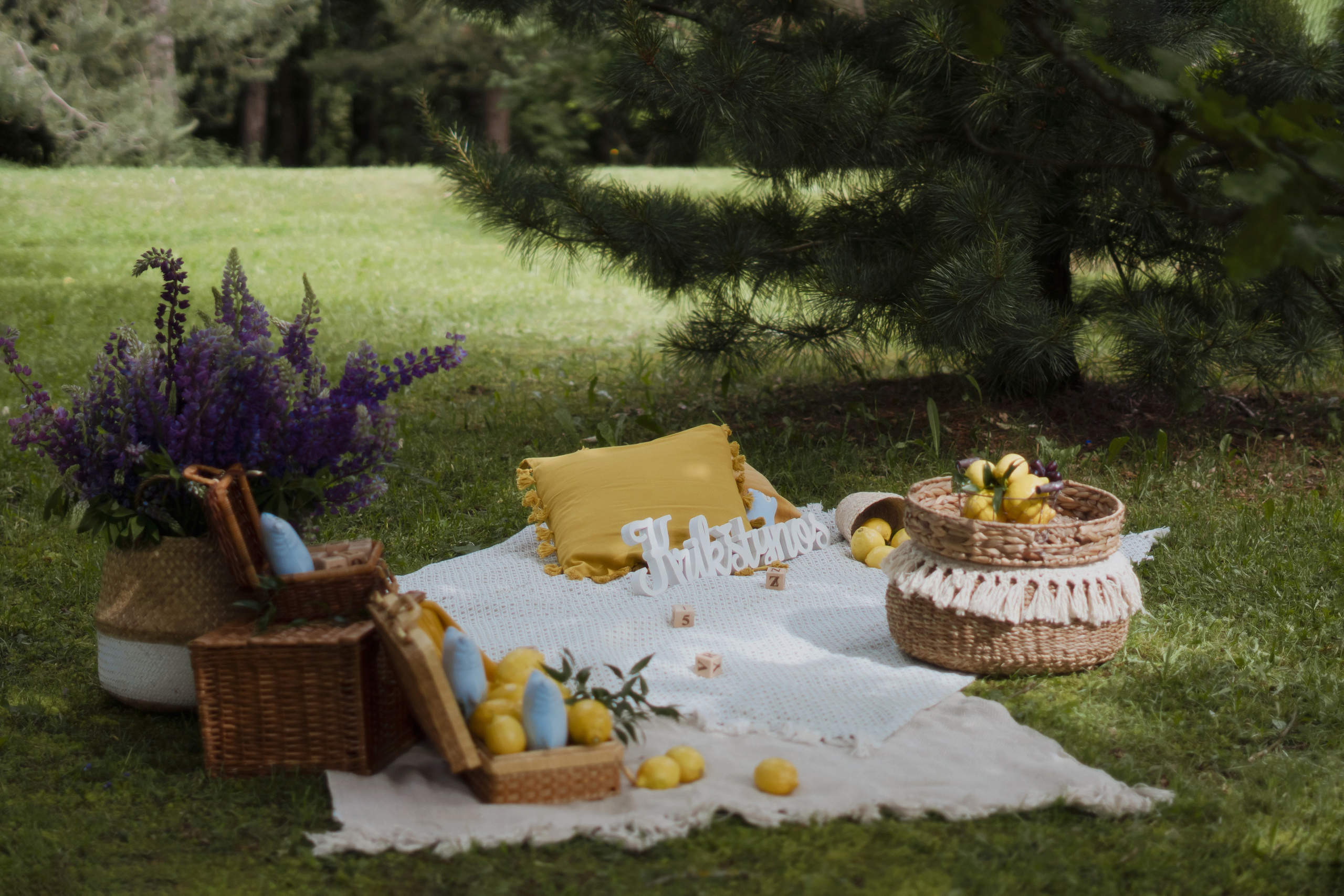 Vincento krikštynos. Fotografė Agnė Navickaitė