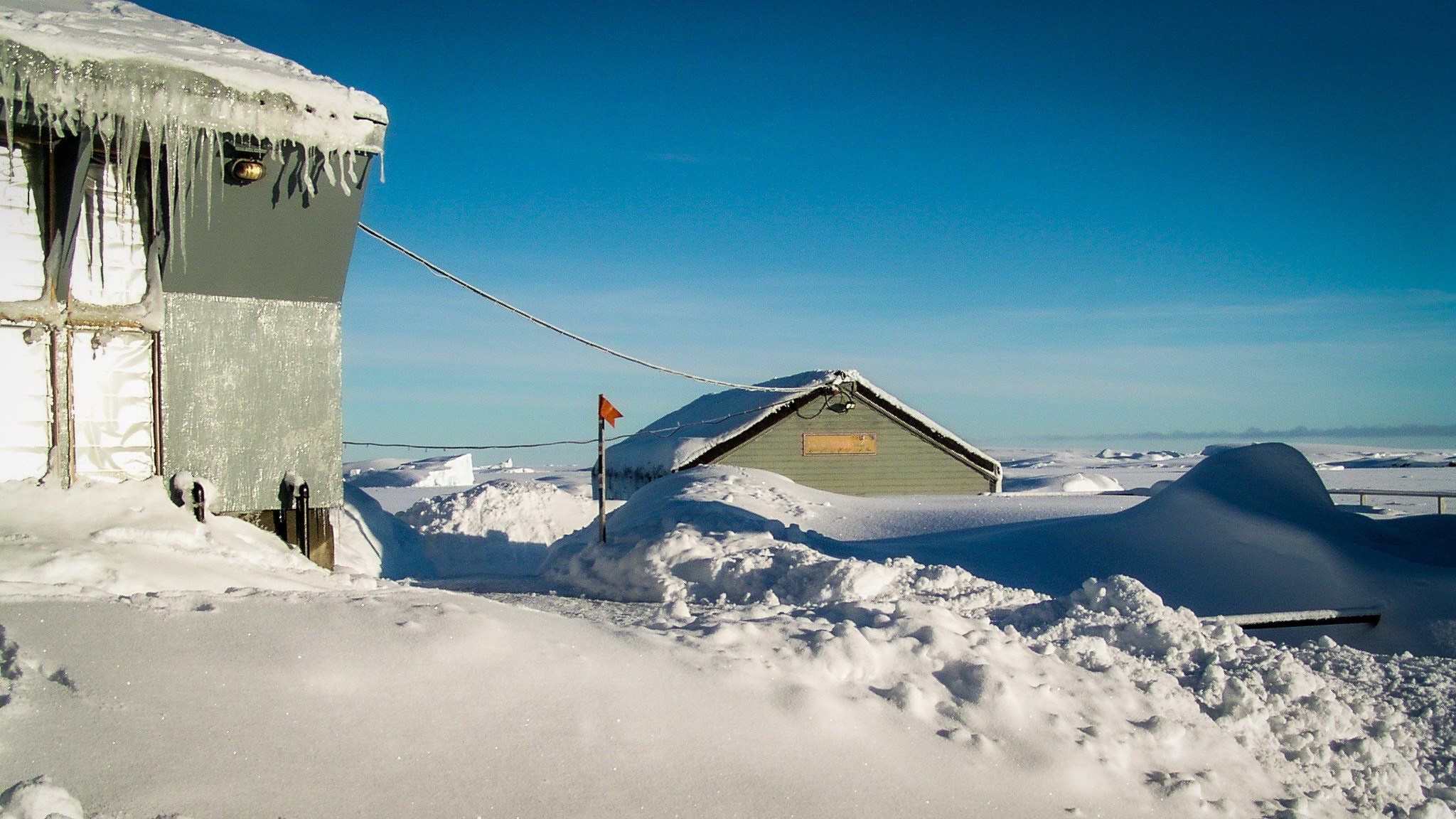 ANTARCTICA / 2004. Reportage concert portrait photography in the San Francisco Bay Area