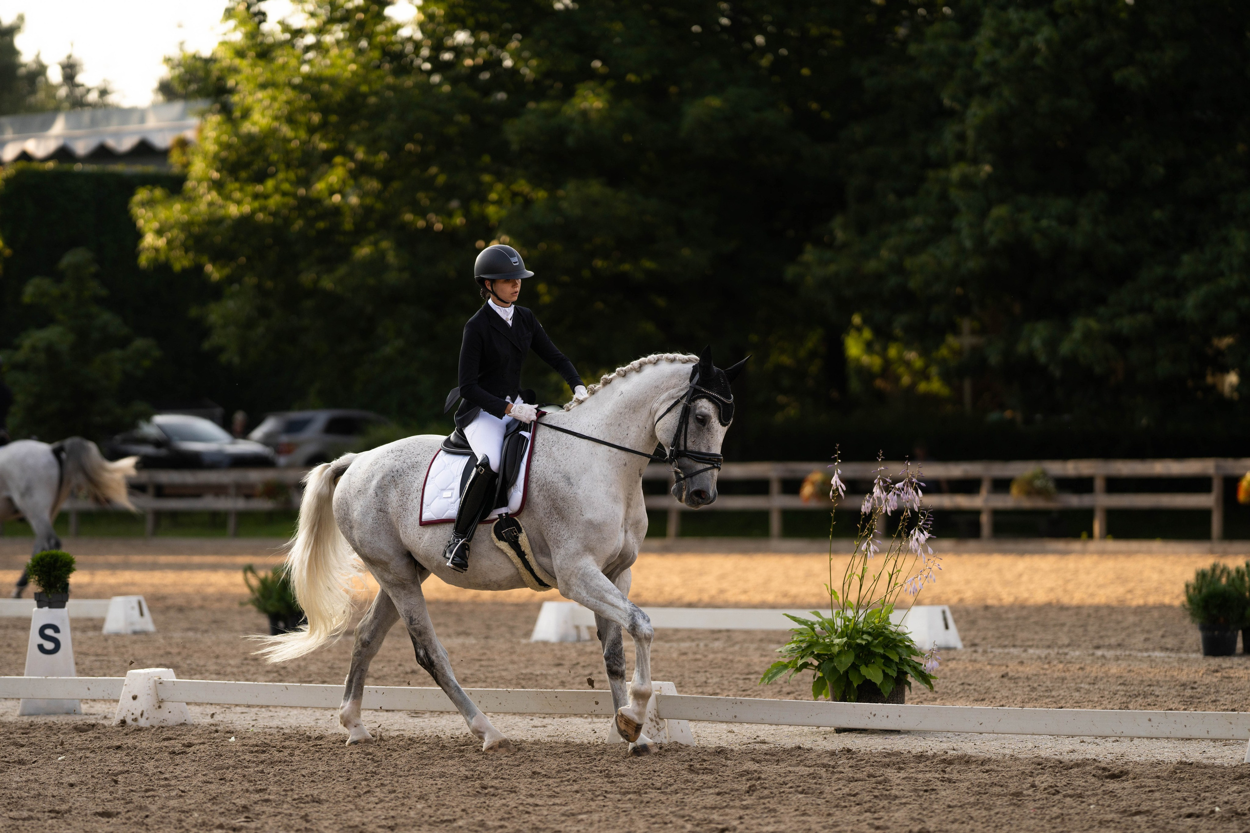 Dressage competitions. Sports and portrait photographer in Riga