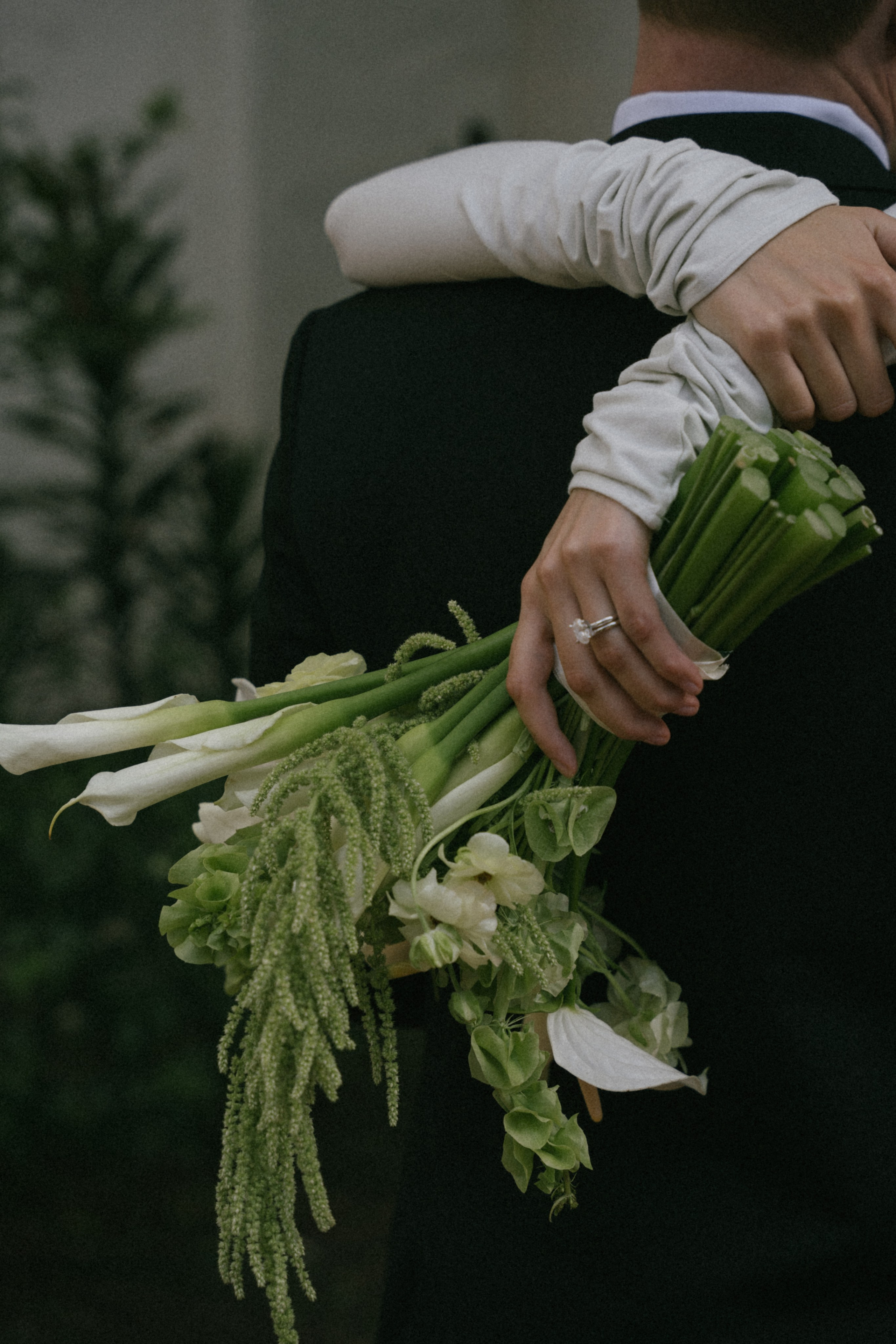 Santa Barbara Wedding. Santa Barbara Elopement. Santa Barbara small Wedding. engagement photoshoot in Santa Barbara