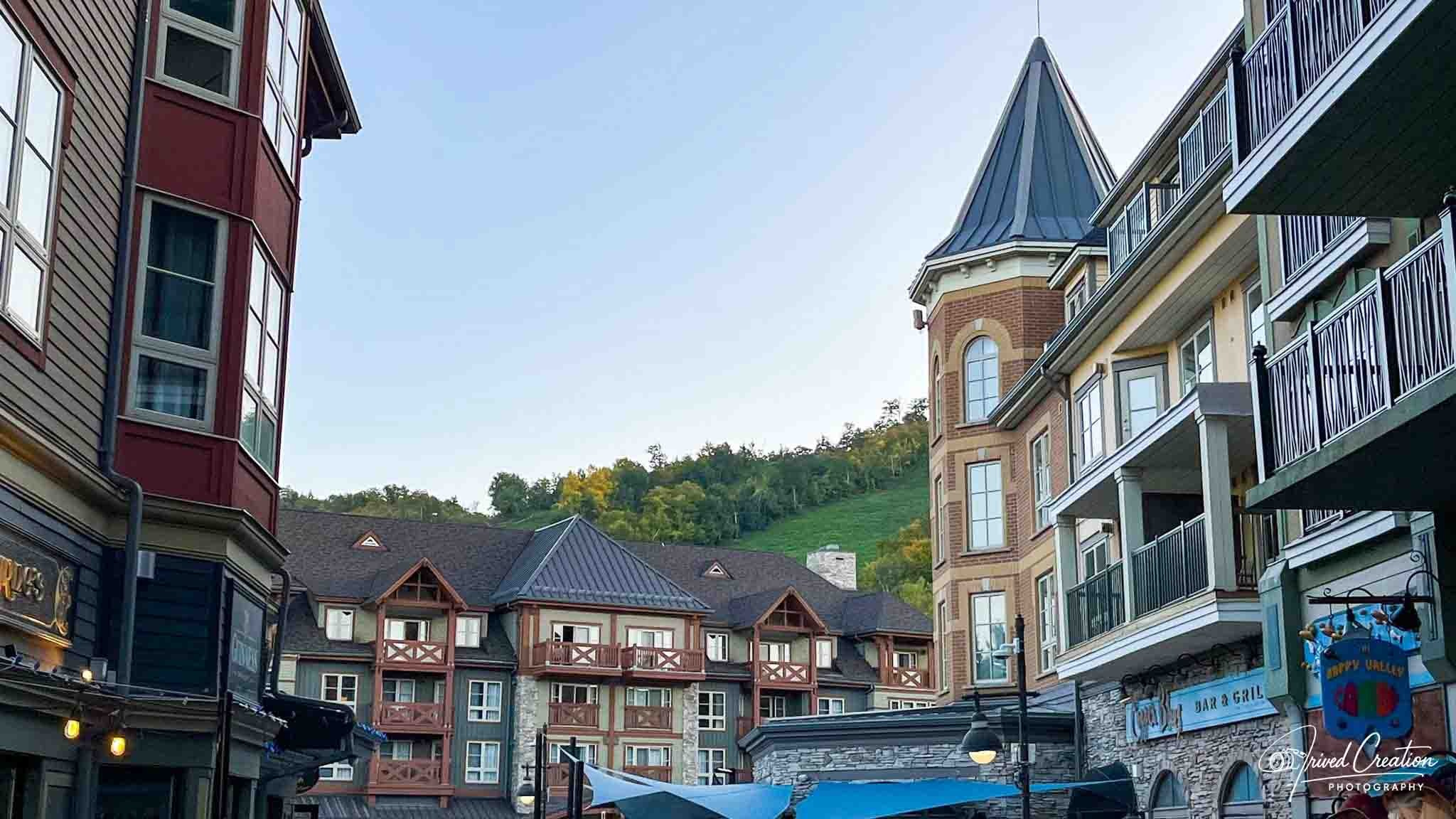 Landscape & Nature. Prived Creation