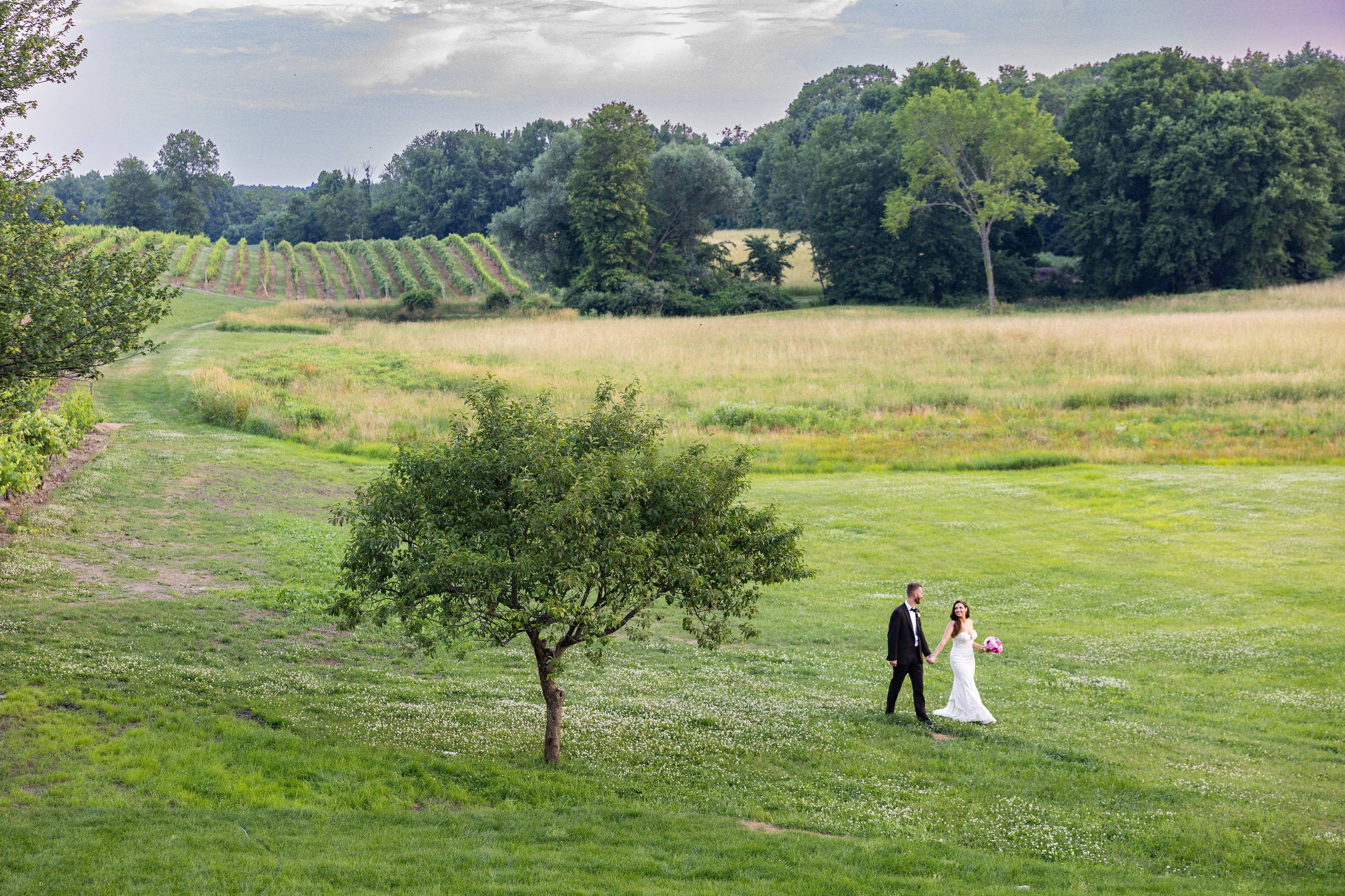 Angelica & Conor. Wedding Photo & Video