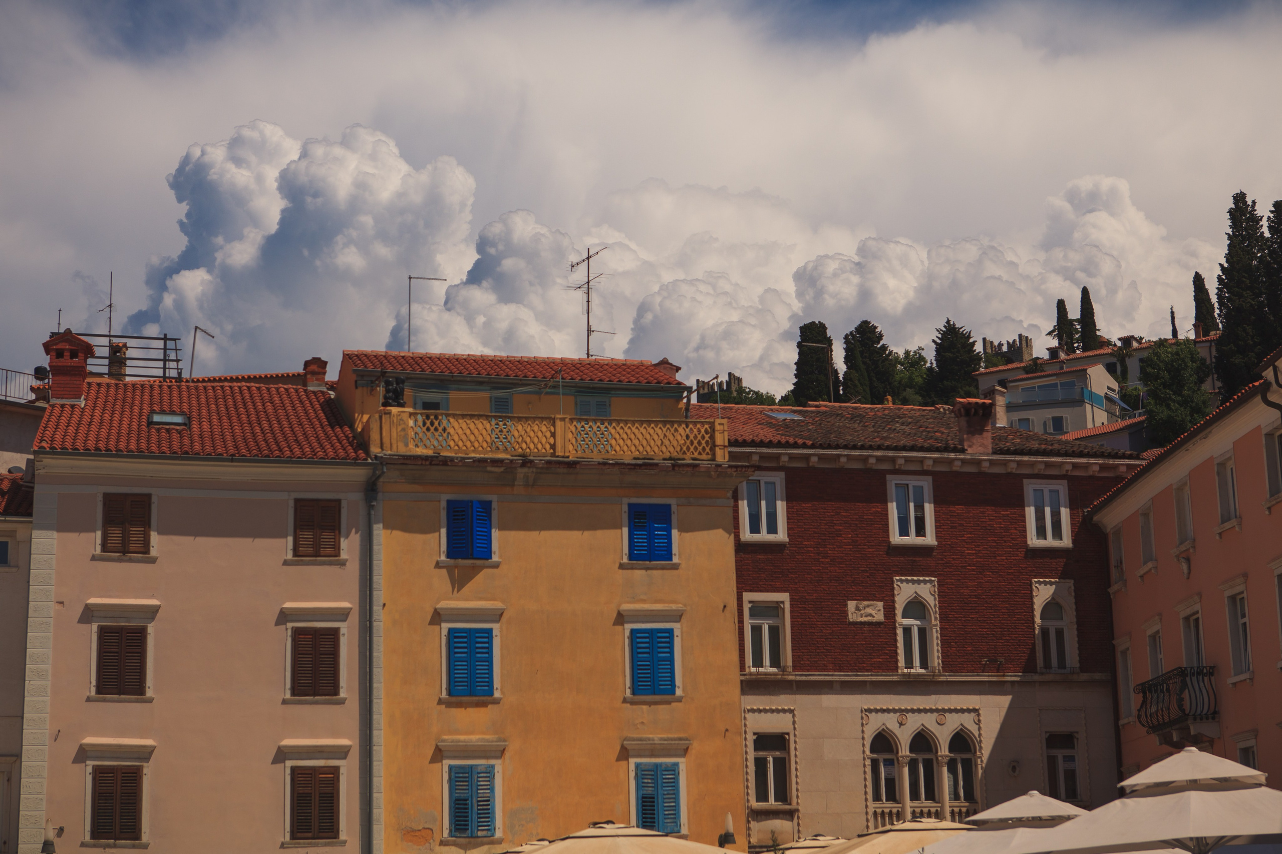 Contact Professional Photogapher in Slovenia. Wedding and Family Photographer in Slovenia