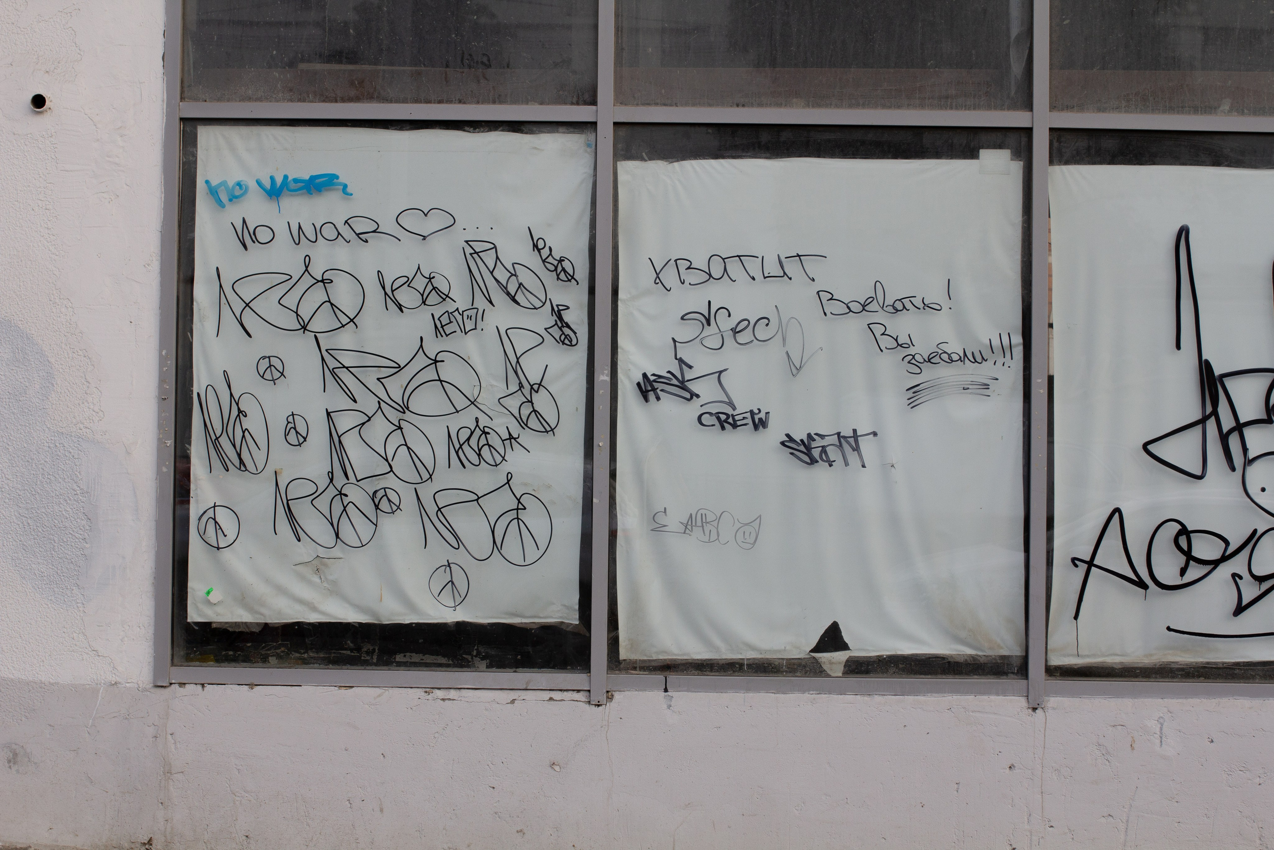 Walls'22. Visual artist