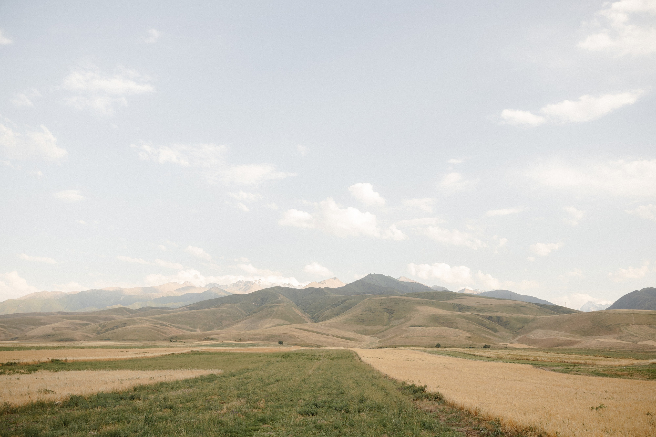 Максат и Самара. Азимжан Нуритдинходжаев — свадебный фотограф