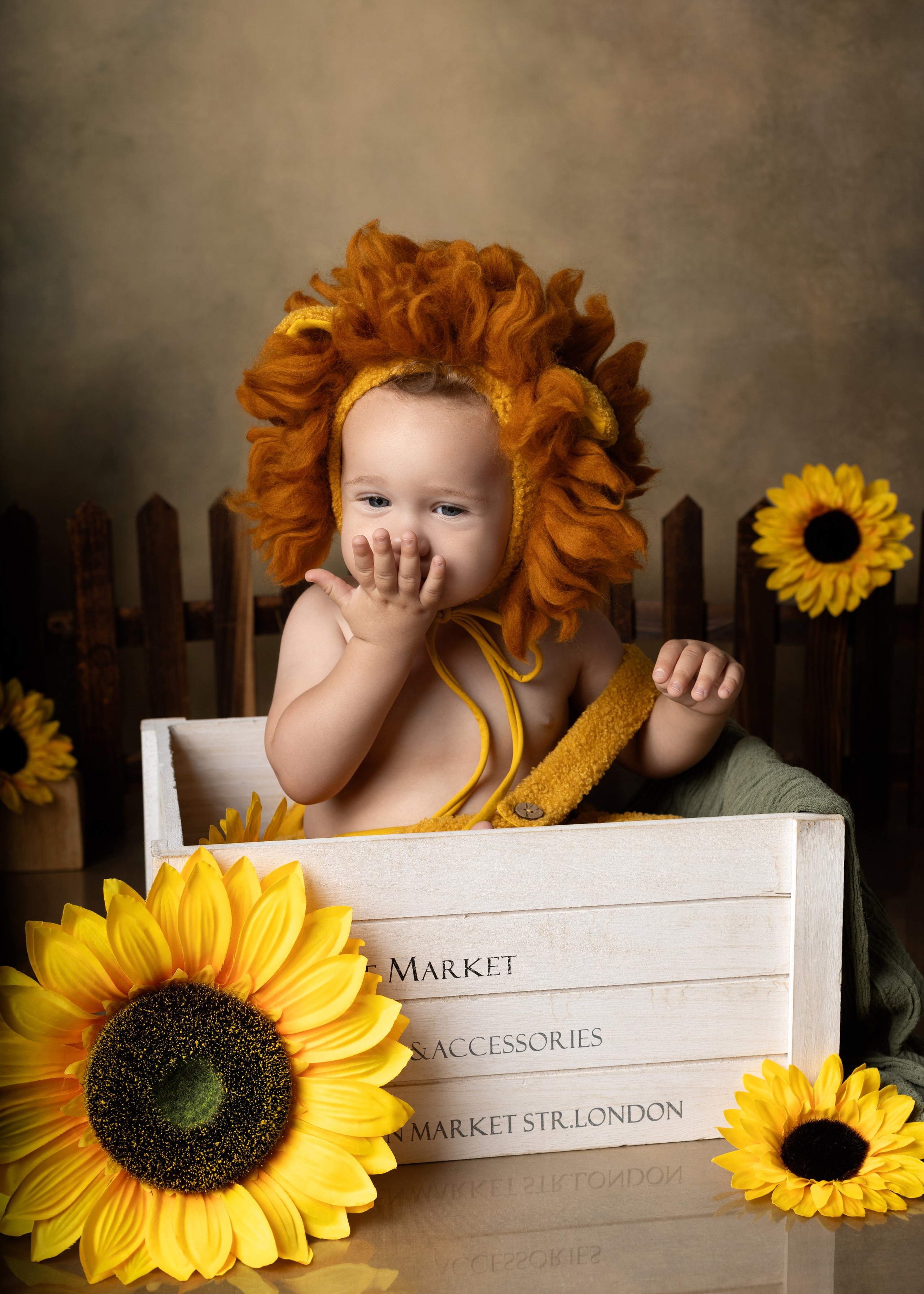 Каталог 7 Годик. Катерина Шустерман — фотограф Newborn, семейный в Израиле