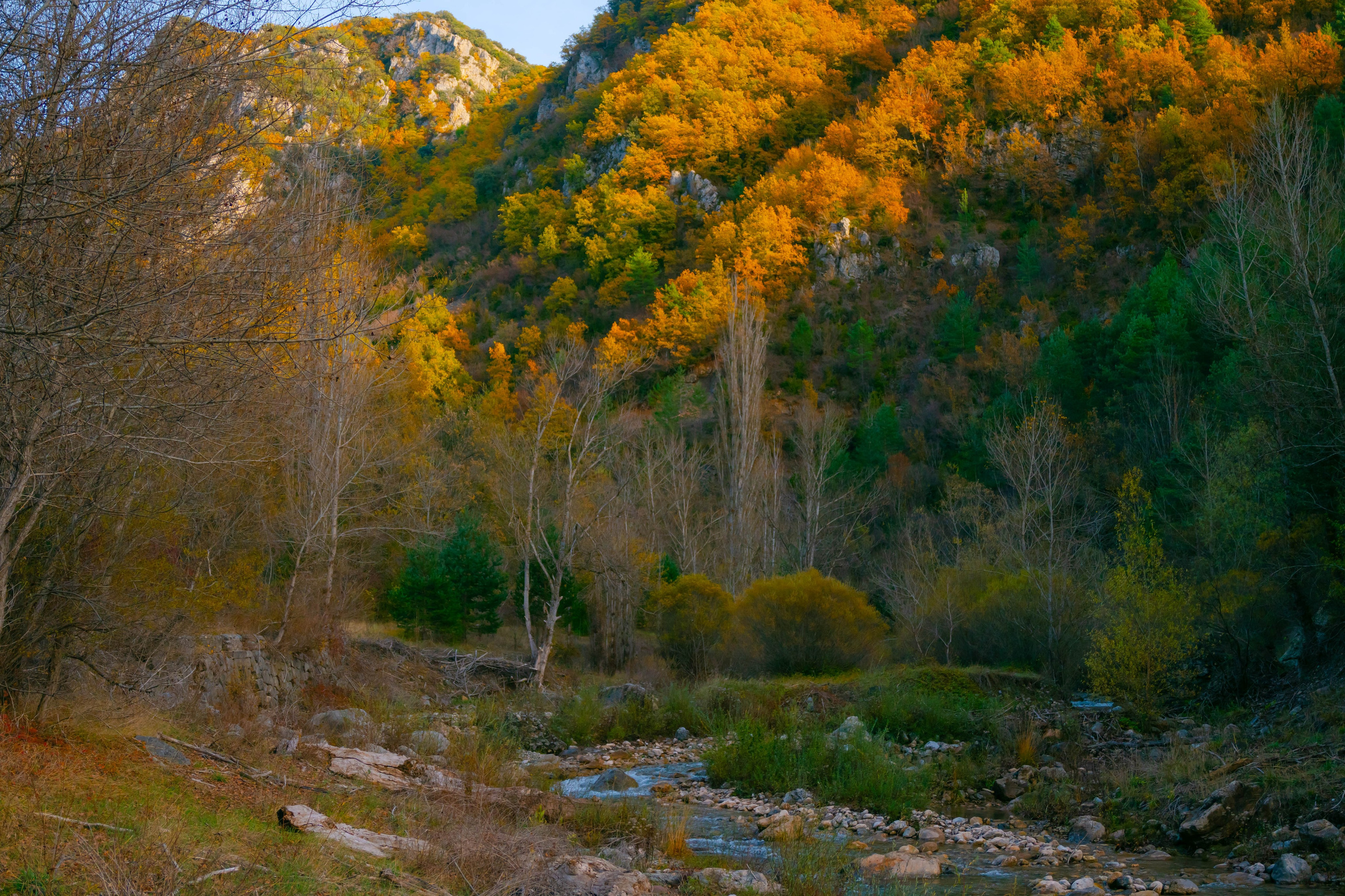 Ruta Otoño. Alba del Norte Studio