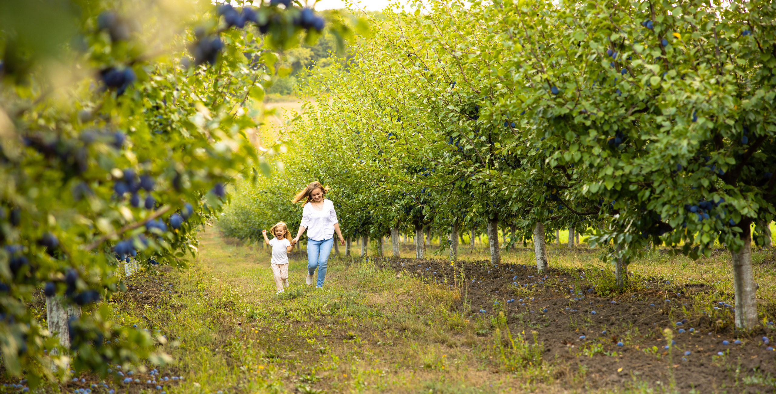 poze comerciale , Moldova